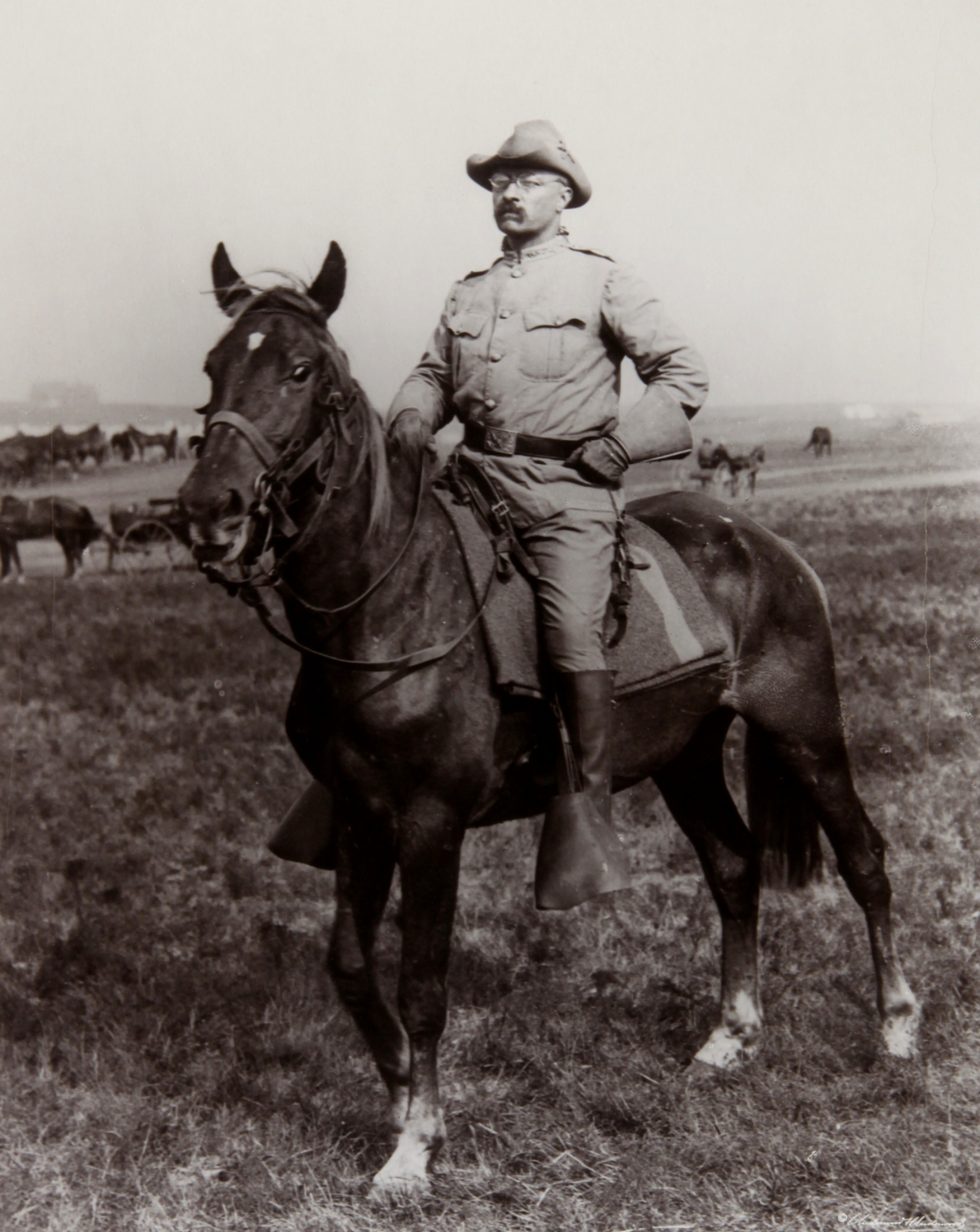 Theodore Roosevelt, Rough Rider, National Park Service, 2100x2640 HD Phone