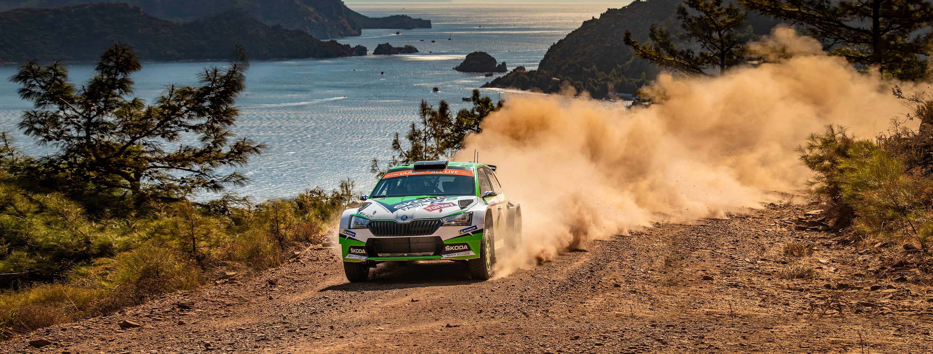 Skoda WRC 2019, Rally Raid Wallpaper, 3000x1140 Dual Screen Desktop