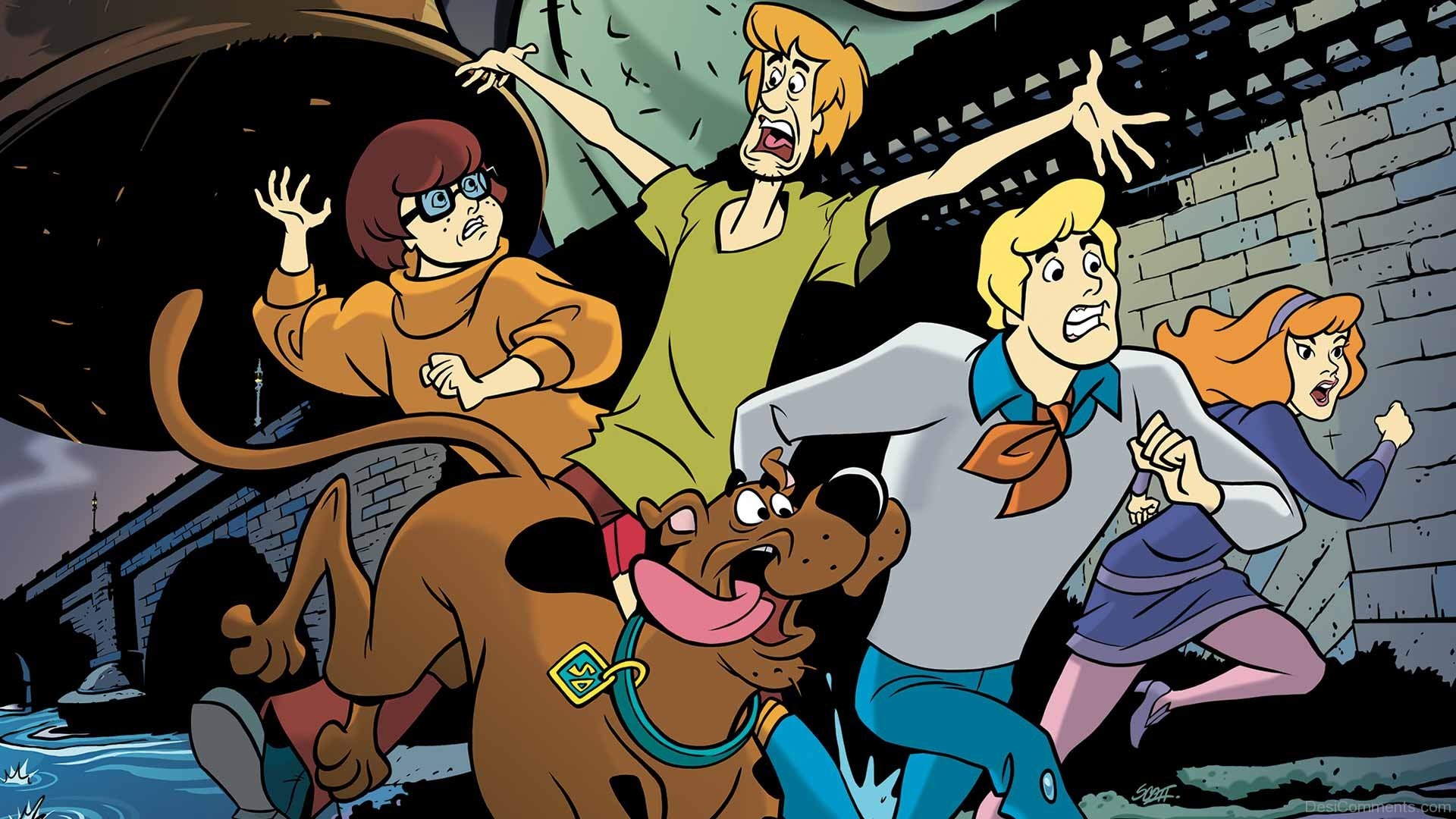 Scooby-Doo, Shaggy Rogers, Fred Jones, Velma Dinkley, Daphne Blake, Full HD Desktop wallpaper