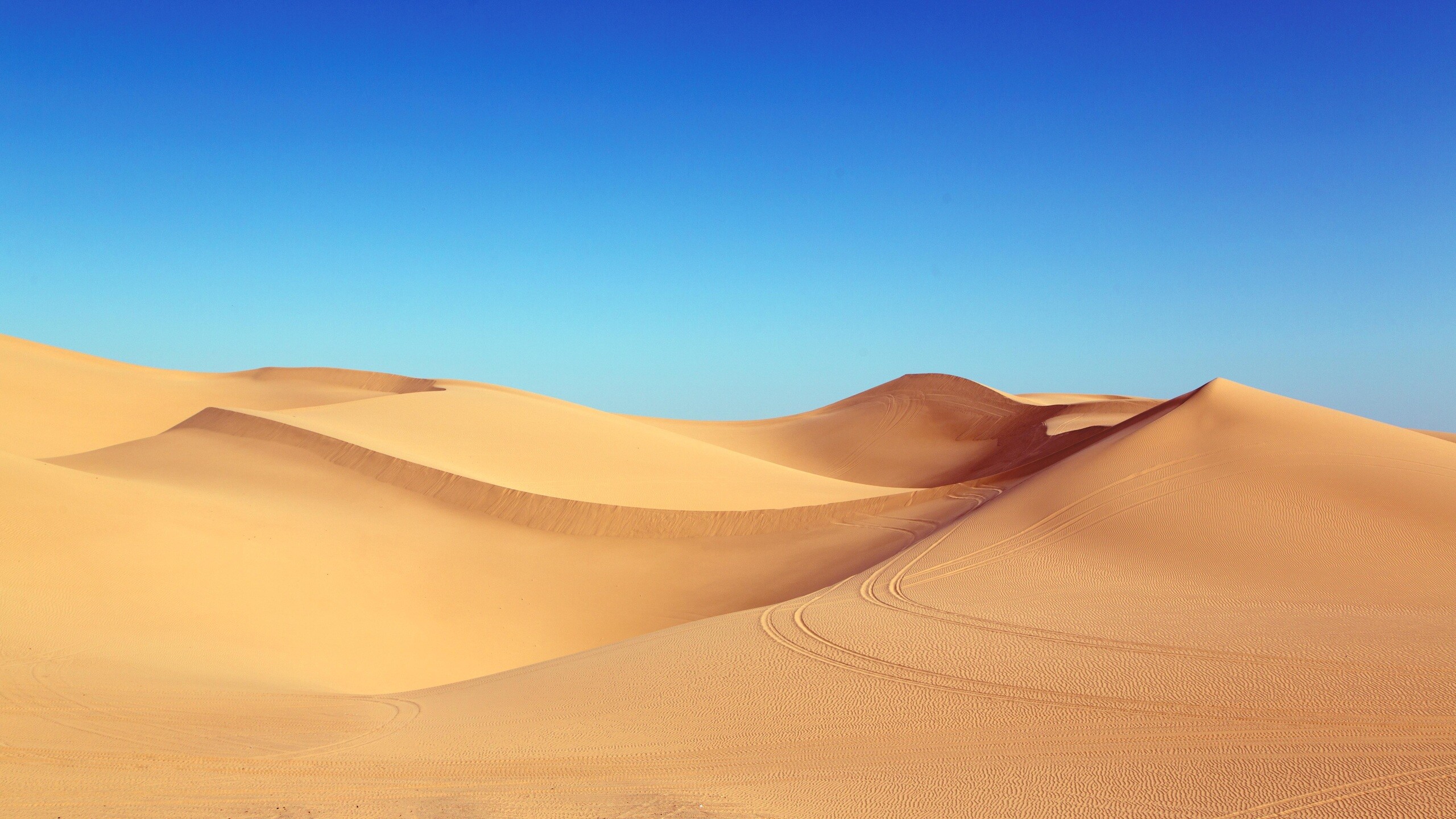 Dune exploration, Nature's adventure, Desert horizon, Majestic vistas, 2560x1440 HD Desktop