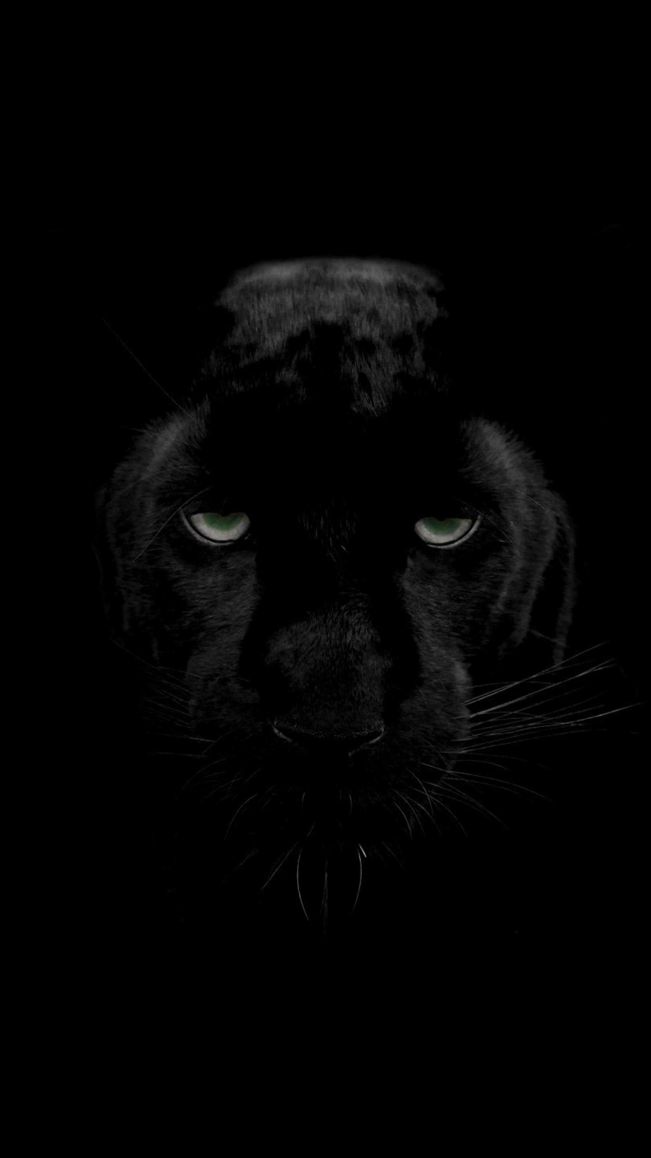 Jungle Animal, Panther wallpapers, Elegance in darkness, Feline grace, 2160x3840 4K Phone