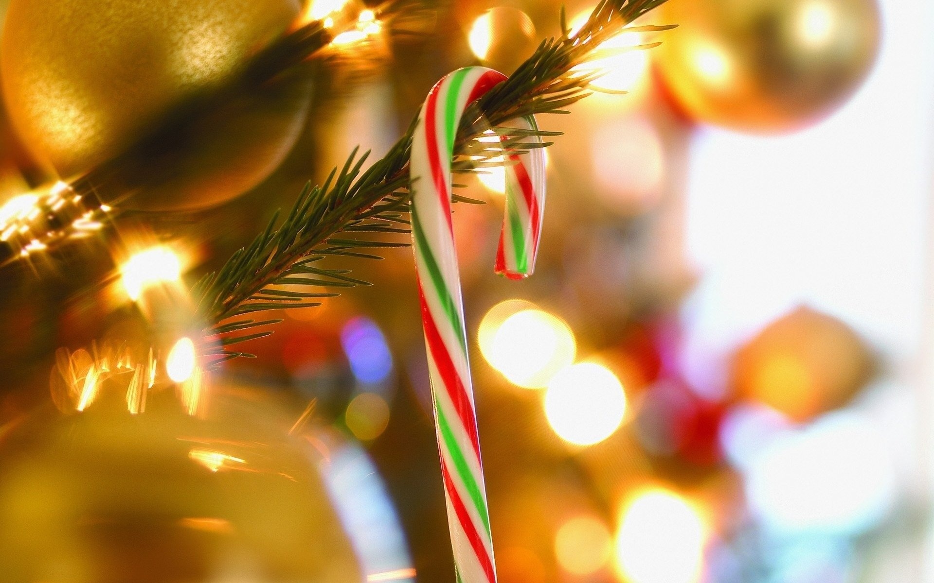 Christmas tree, Candy Cane Wallpaper, 1920x1200 HD Desktop