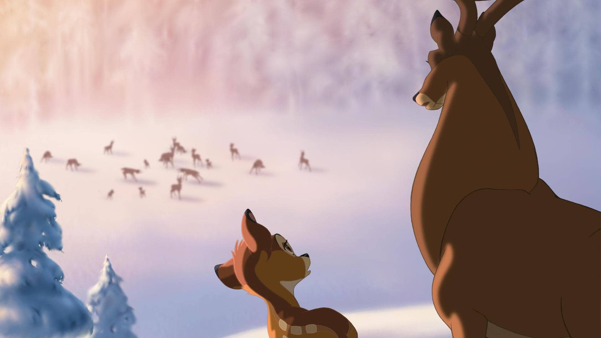 Bambi DVD box, Cinema collection, Expert Technomarkt, Home entertainment, 1920x1080 Full HD Desktop