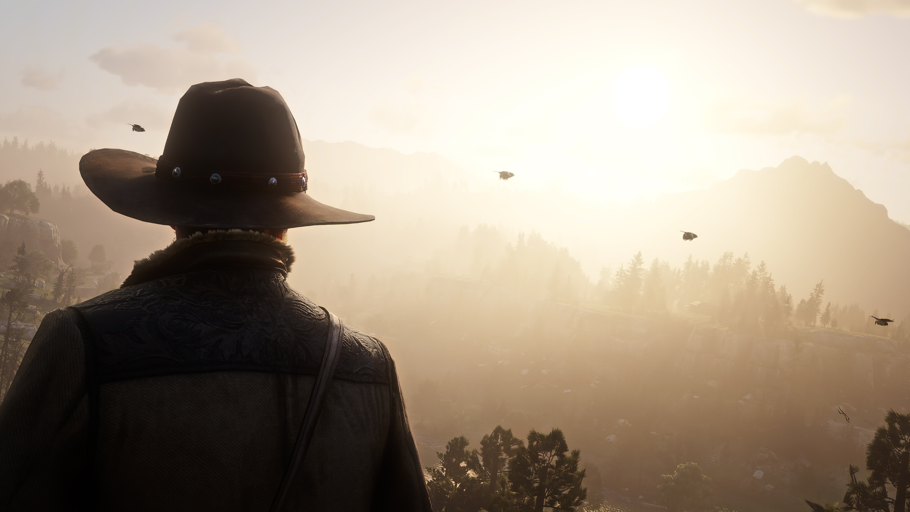 2020 Red Dead Redemption 2, 1440p resolution, Stunning visuals, High definition graphics, 3840x2160 4K Desktop