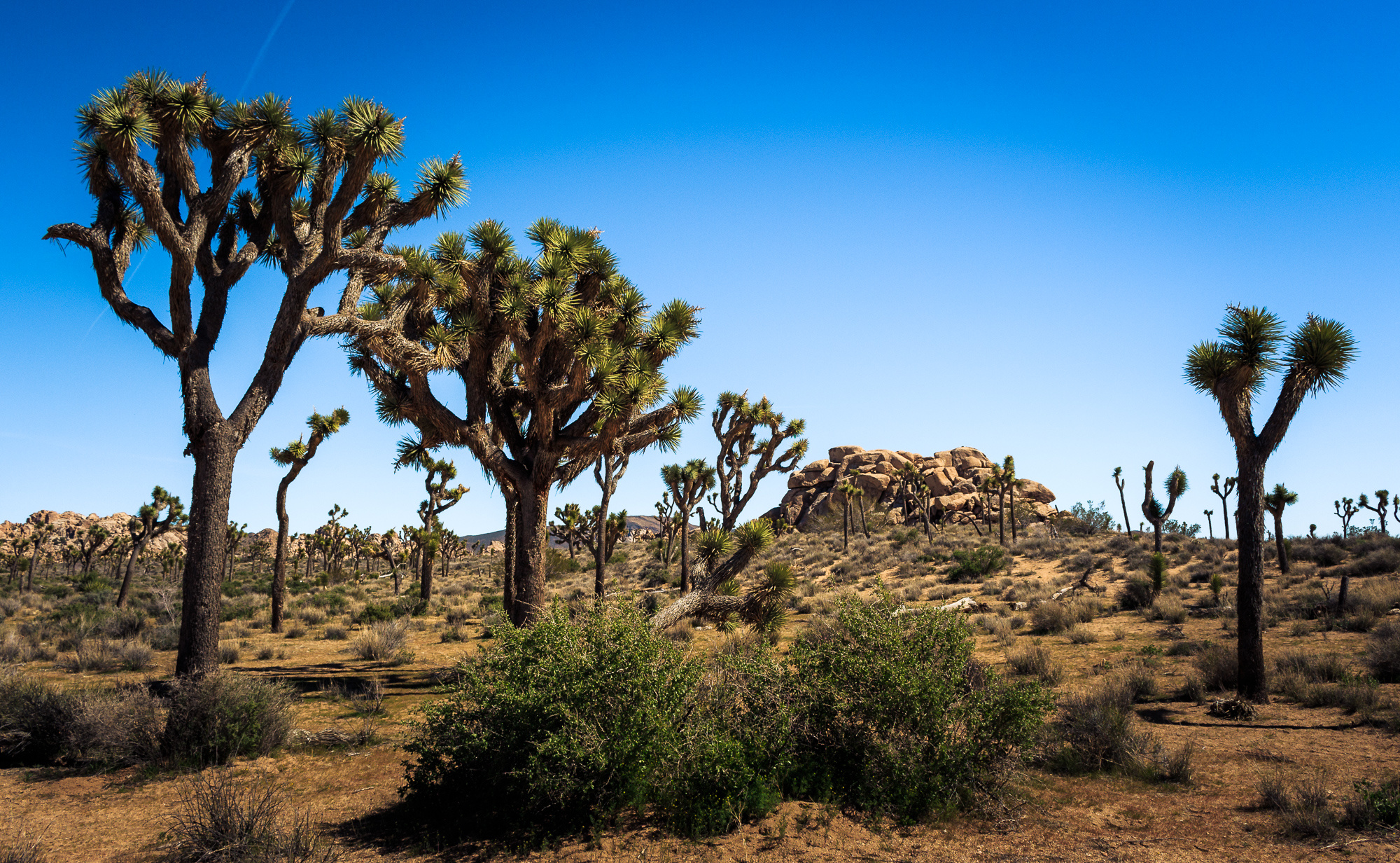 Los Angeles to Joshua Tree National Park, Epic road trip, Southern California adventure, 2000x1240 HD Desktop