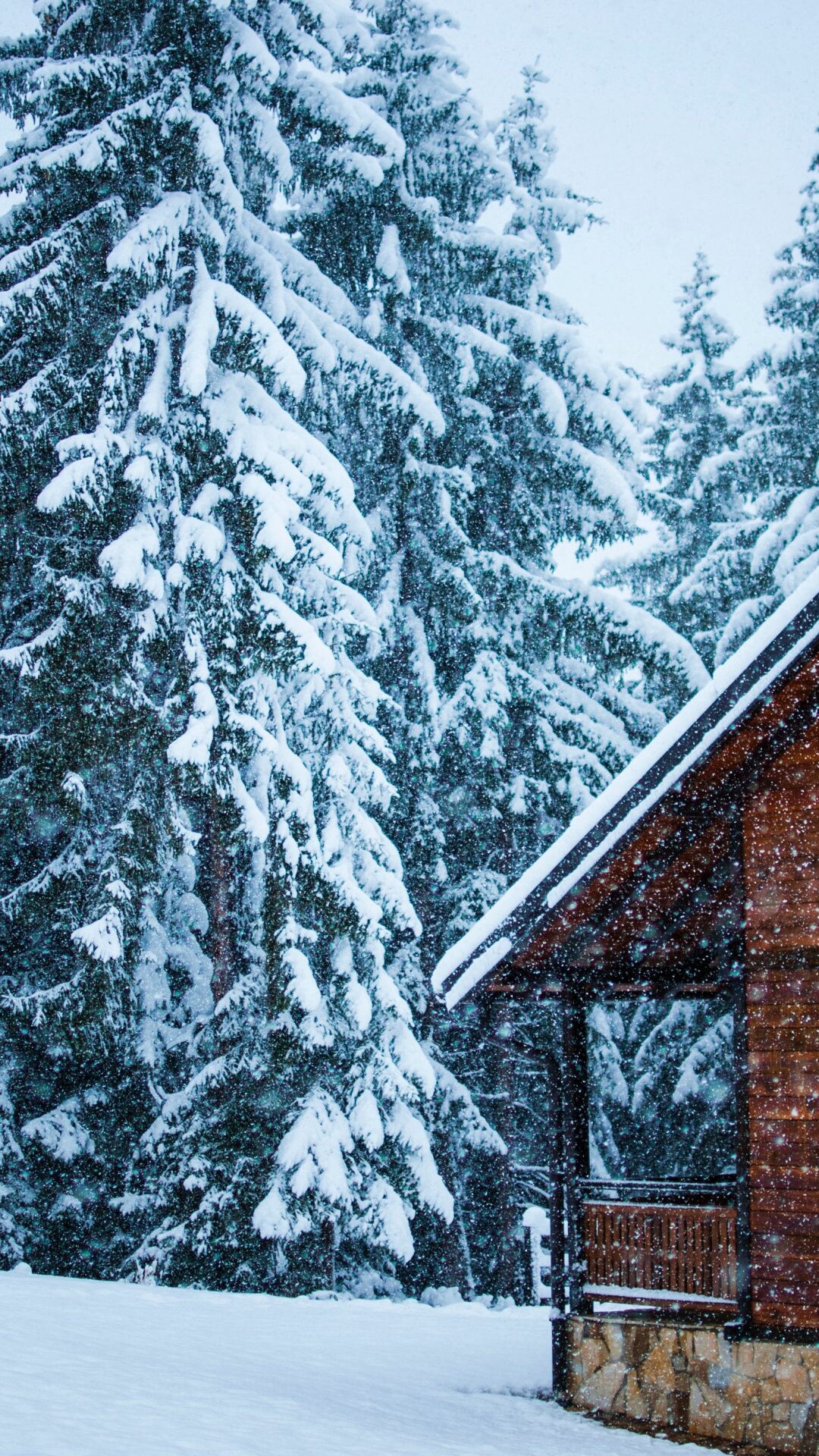 Snow-covered house, Winter's layer of snow, Winter wallpaper, Nature's snowy touch, 1080x1920 Full HD Phone
