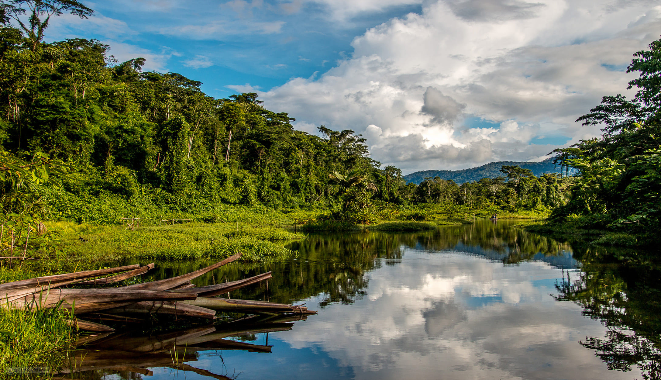 Manu national park, Manu national park, Peru sesamhos travel, Peru sesamhos, 2180x1250 HD Desktop