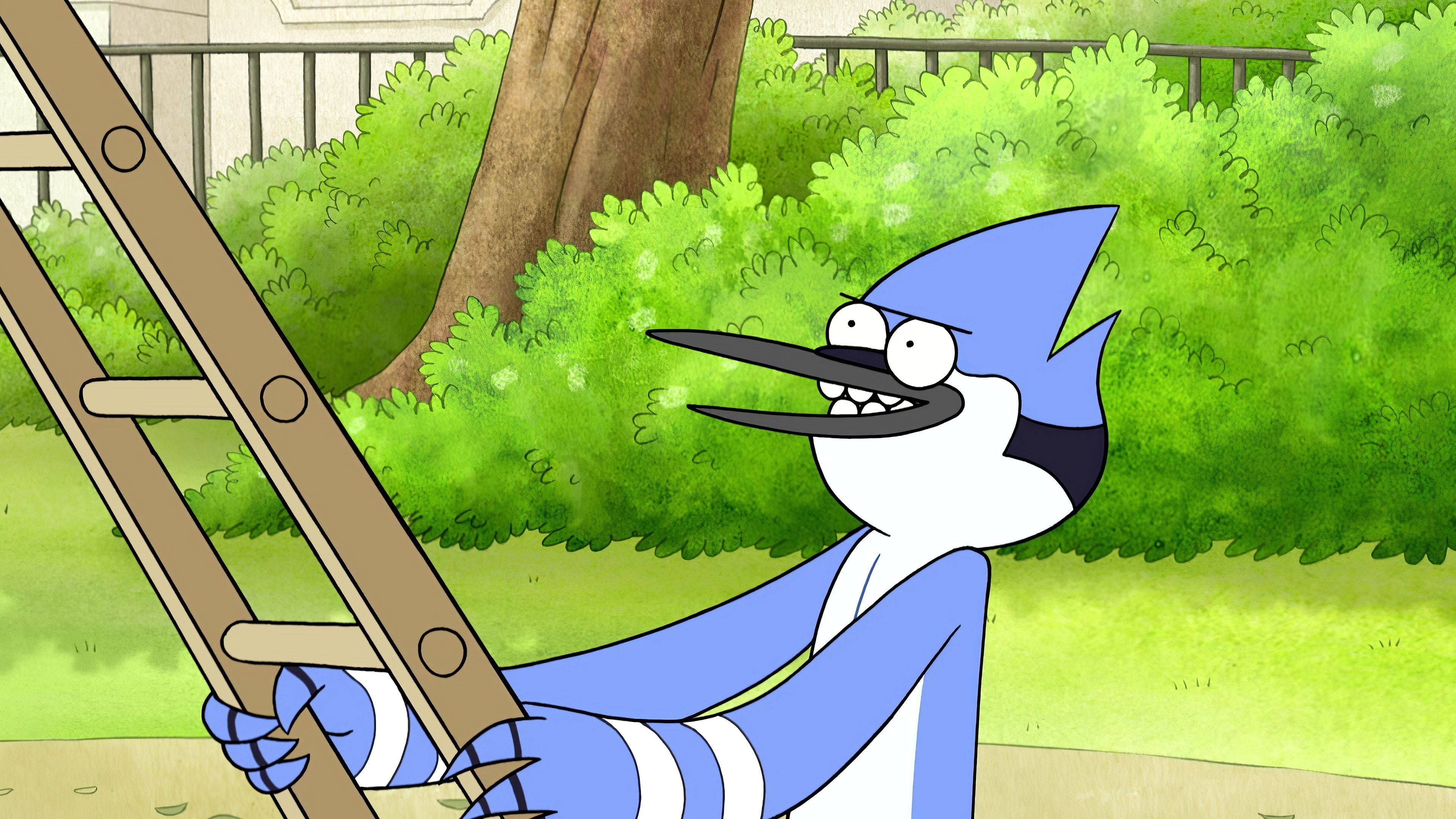 Mordecai grinning close-up, Wooden ladder, Park hedges, Regular Show, 4K Desktop wallpaper