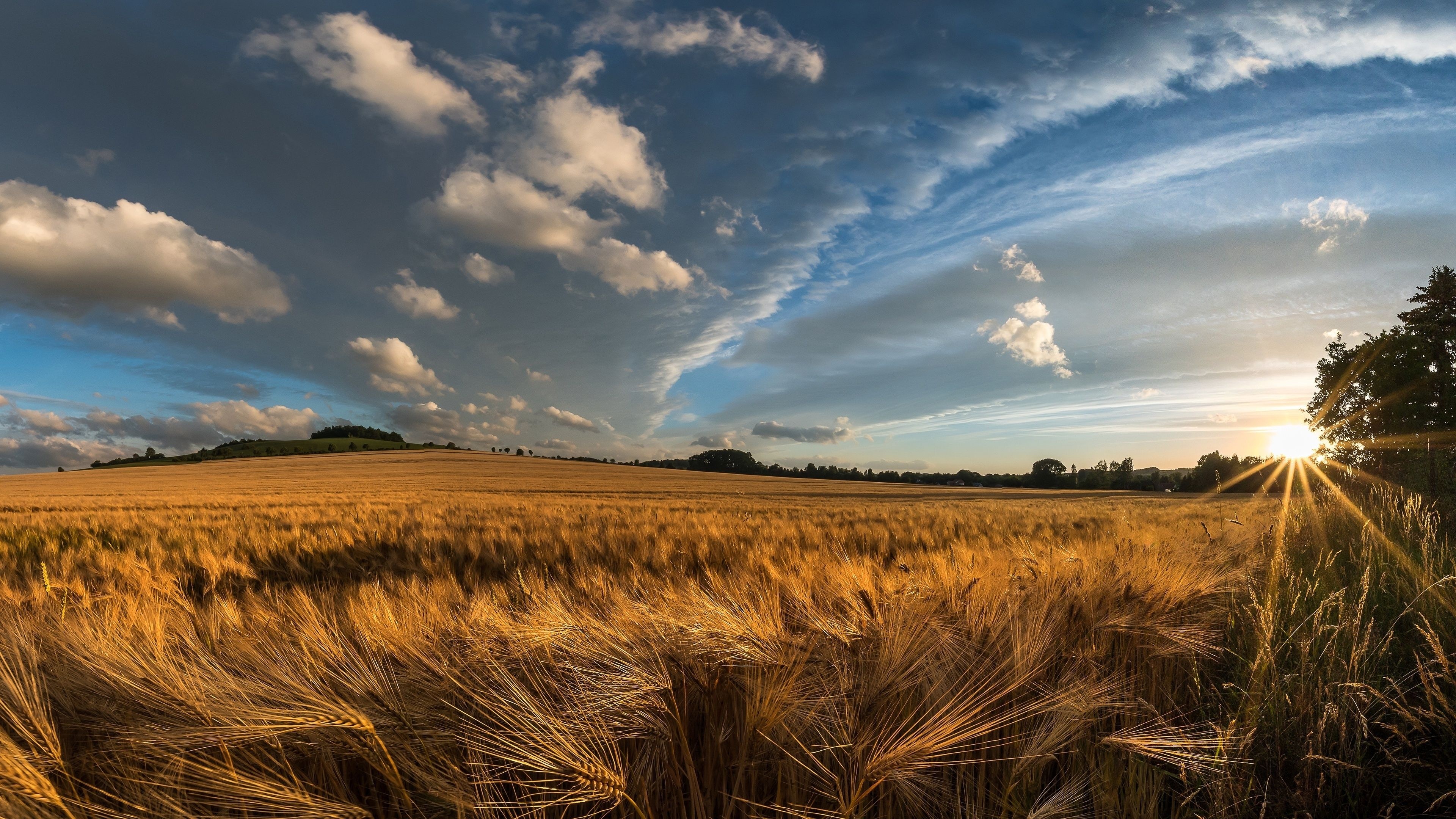 Grainfield, Farms Wallpaper, 3840x2160 4K Desktop