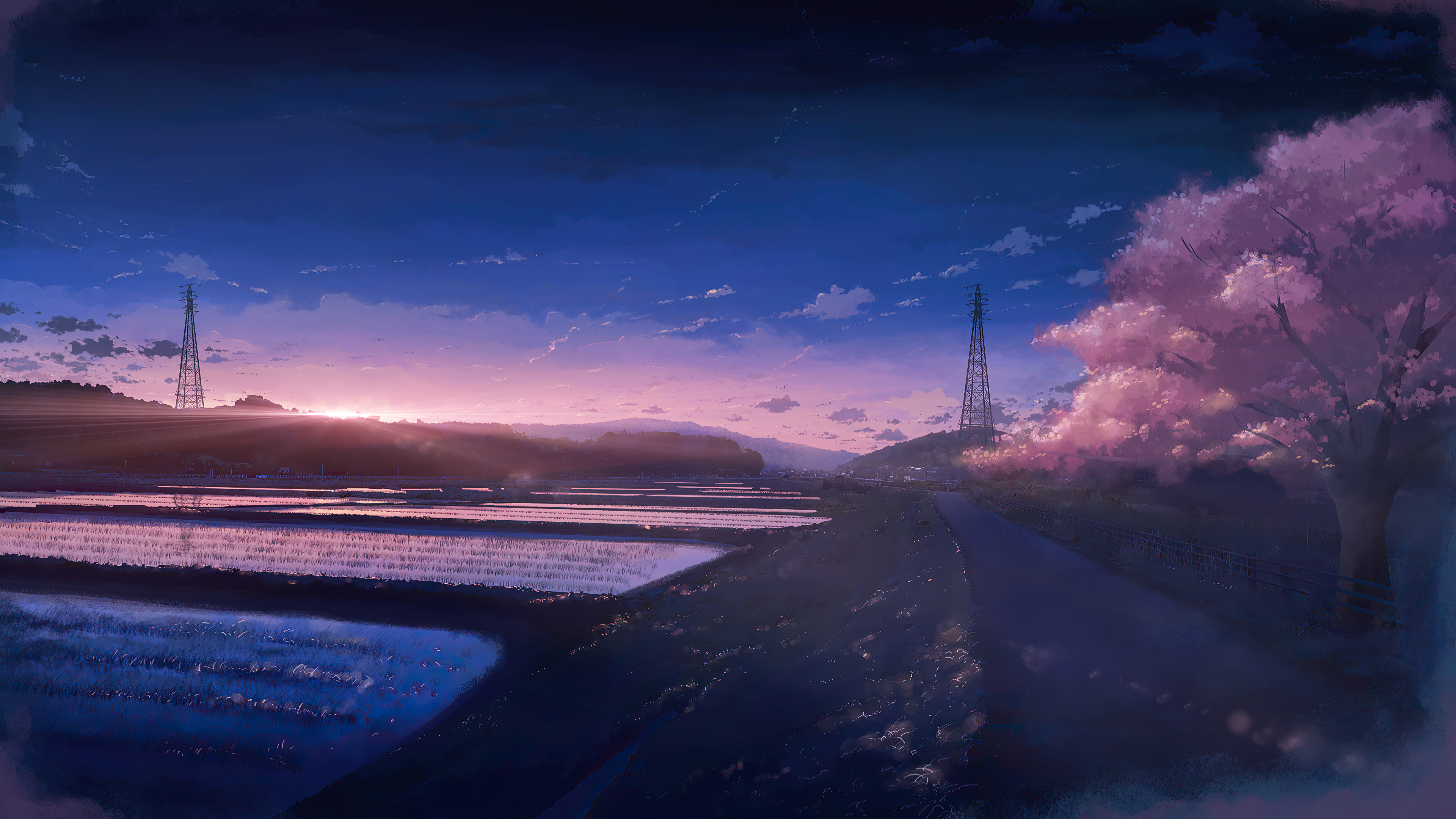 blooming cherry blossom tree, flooded rice paddies, electric transmission towers, 4K Desktop wallpaper