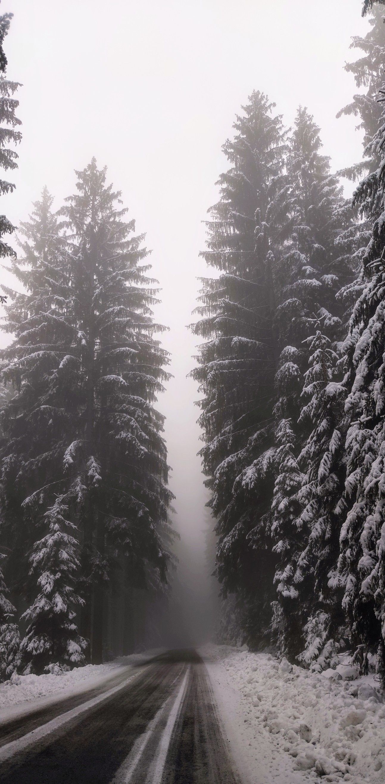 Ice storm, Winter photography, Road covered in snow, Frozen landscape, 1300x2640 HD Phone