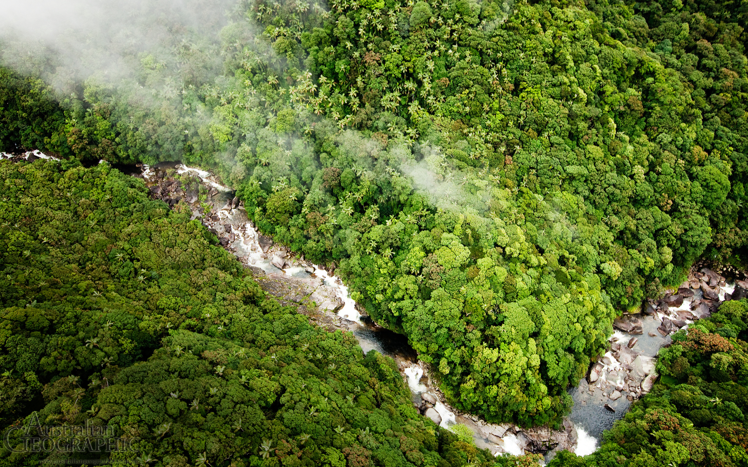 Daintree National Park, Travels, Australia, Rainforest, 2560x1600 HD Desktop