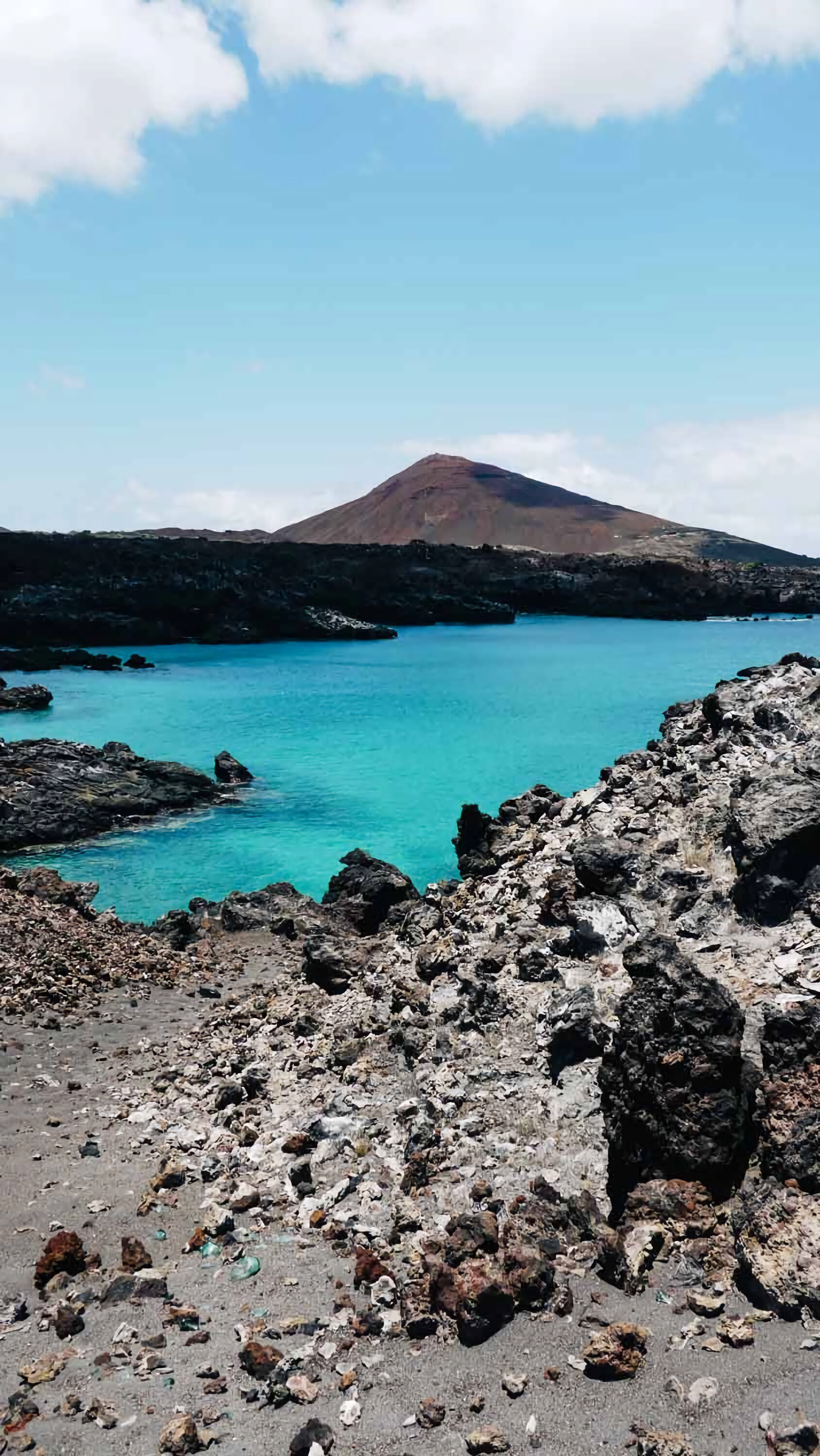 Ascension Island, Travels, Birdwatching, Wildlife sanctuary, 1690x3000 HD Phone