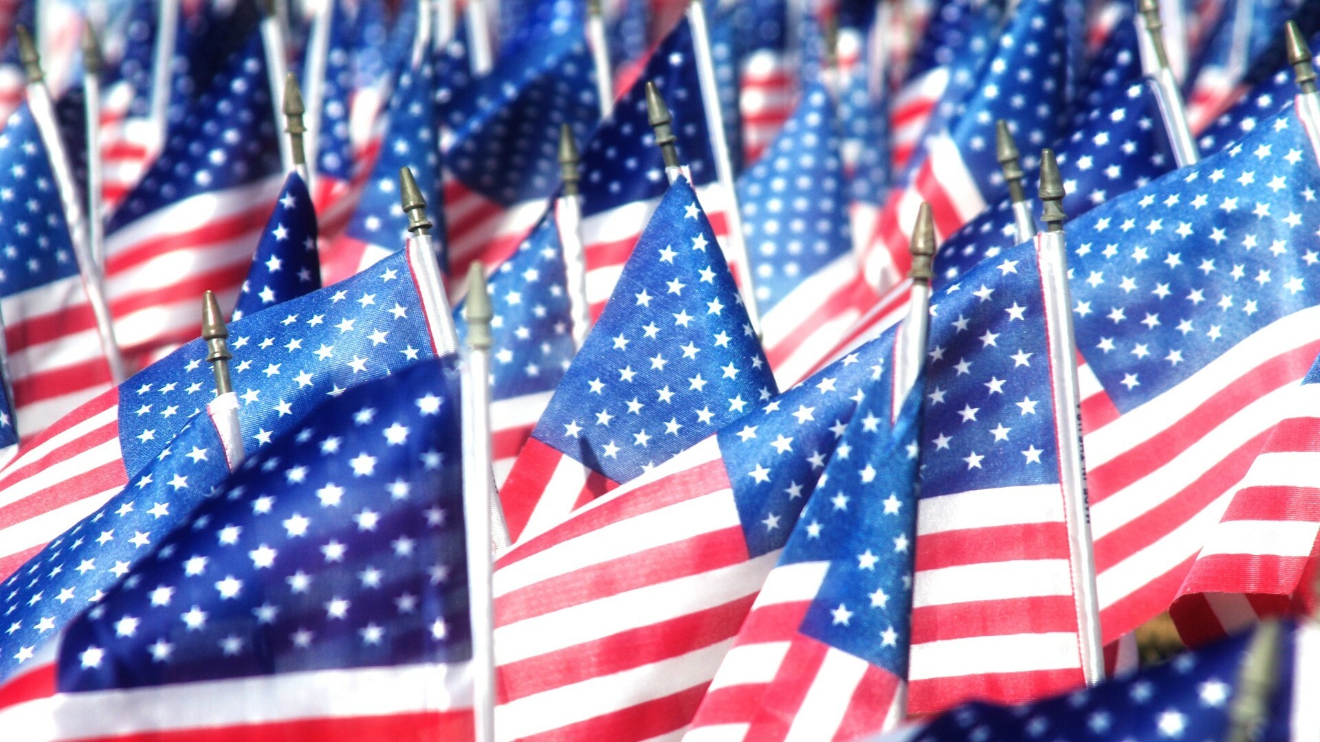 Veterans Day appreciation, Military service, Grateful nation, Courageous heroes, 1920x1080 Full HD Desktop