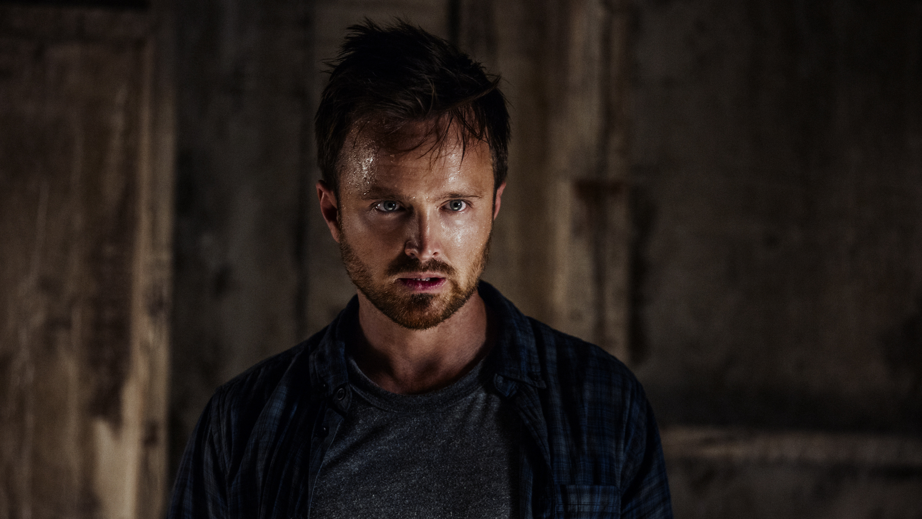 Aaron Paul, Aaron Paul as Eddie Cleary, The Path TV series, TV shows, 3000x1690 HD Desktop