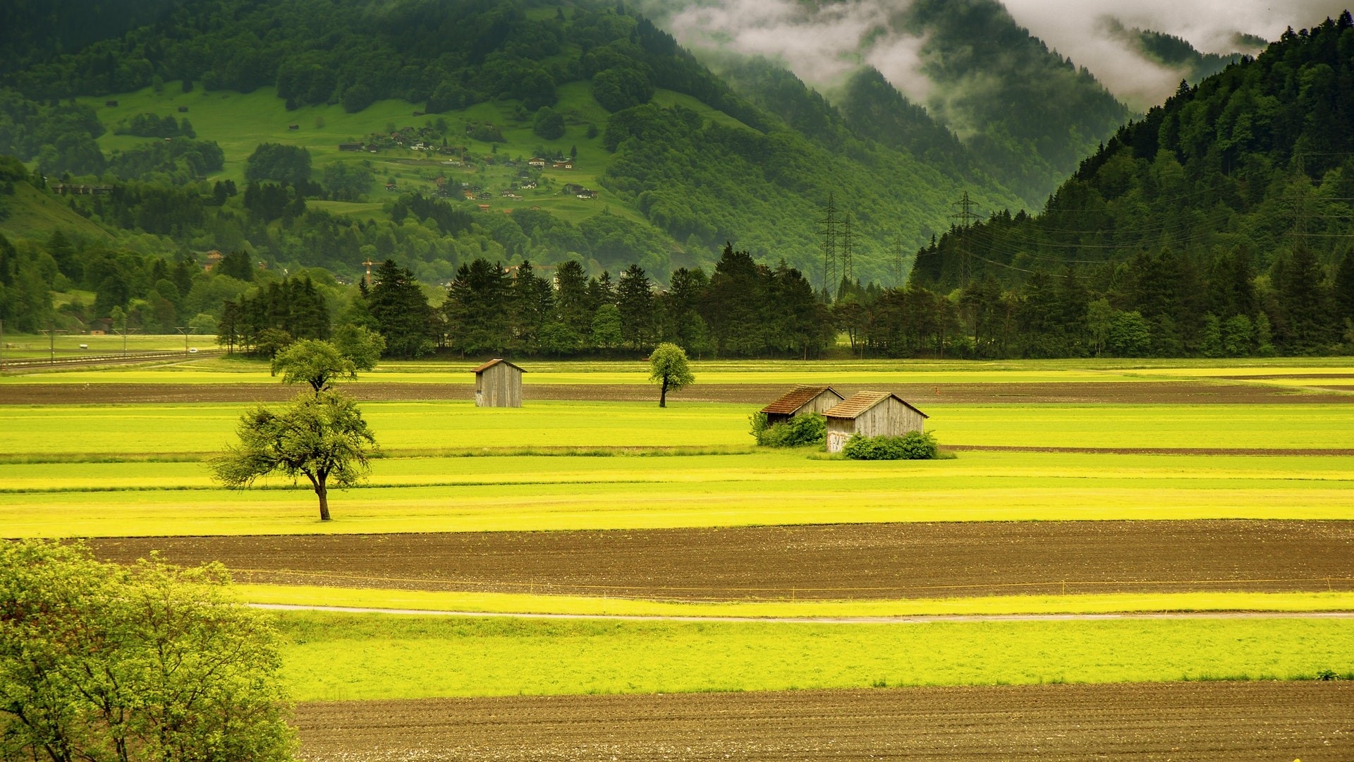 striped agricultural fields, rustic wooden field sheds, misty forested mountains, Full HD Desktop wallpaper