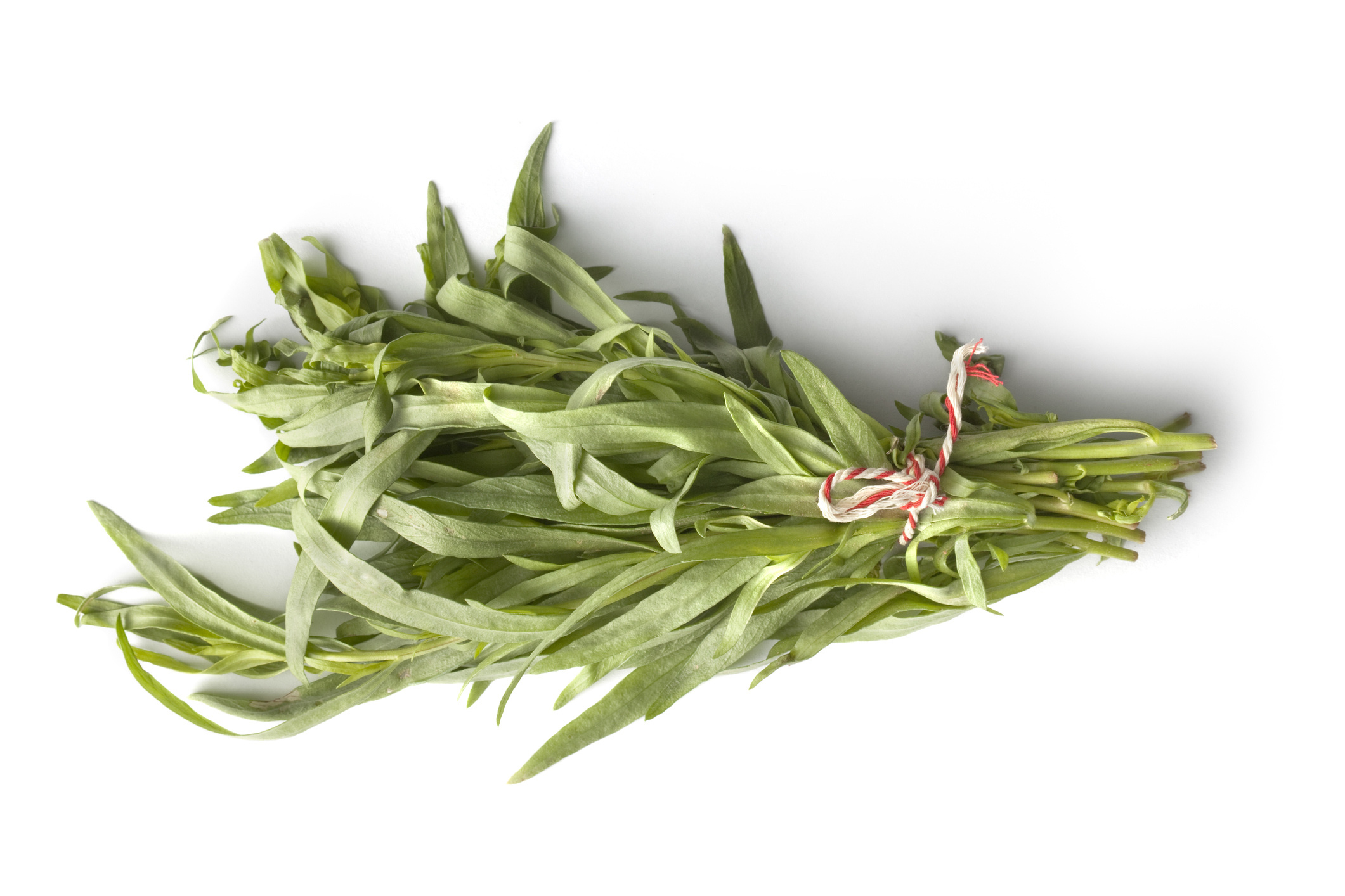 Tarragon herb, Spatula diaries, Tarragon love, Love for tarragon, 2130x1420 HD Desktop