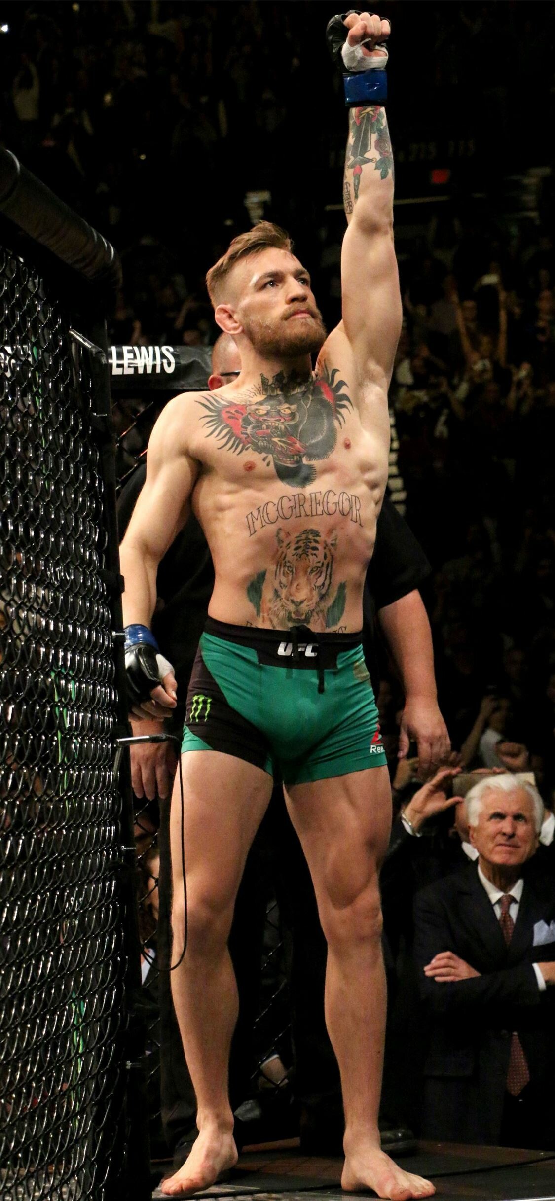 Conor McGregor, HD wallpaper, 1130x2440 HD Phone