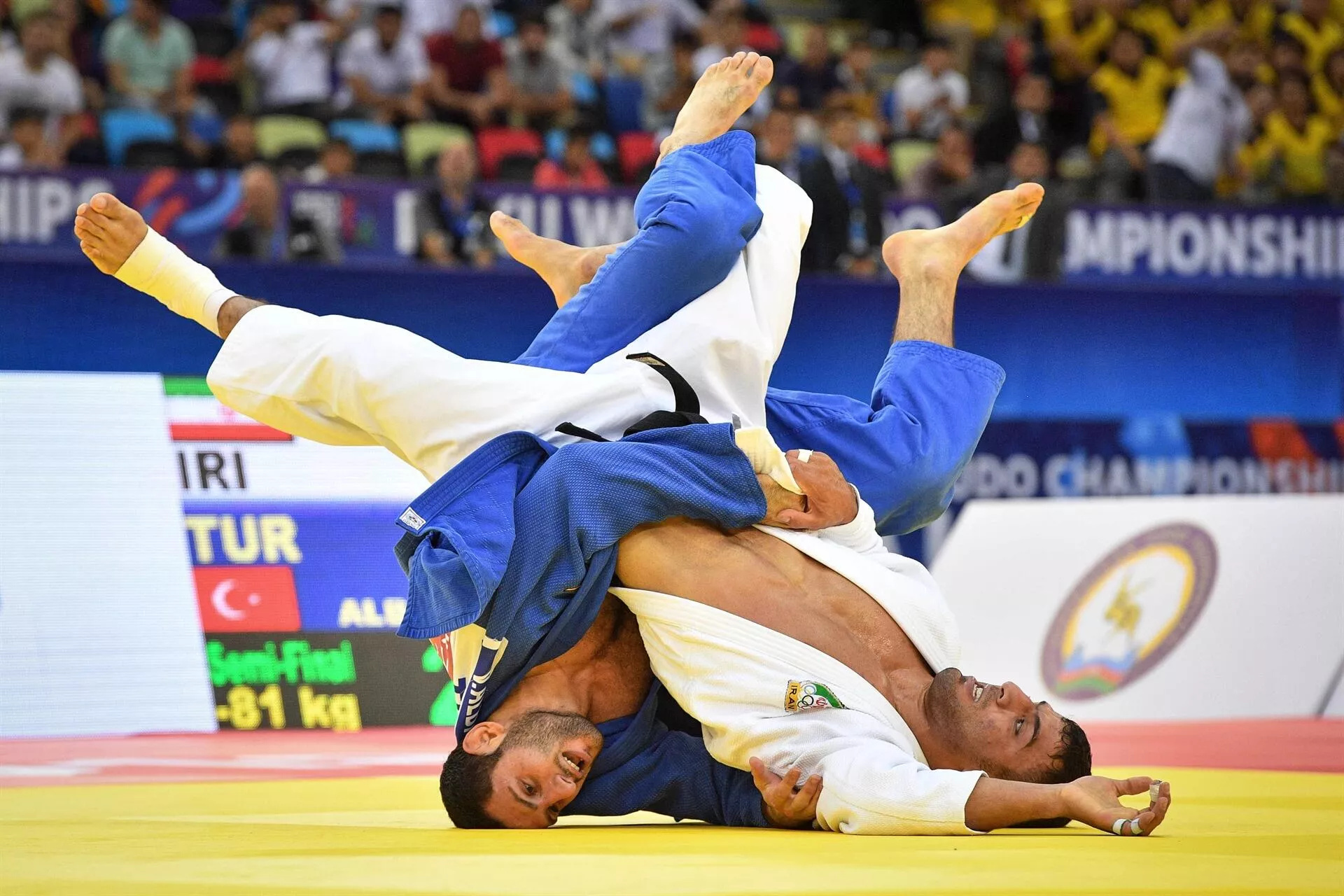 Turkish Judo success, Bronze at Championships, National pride, Turkish news coverage, 1920x1280 HD Desktop