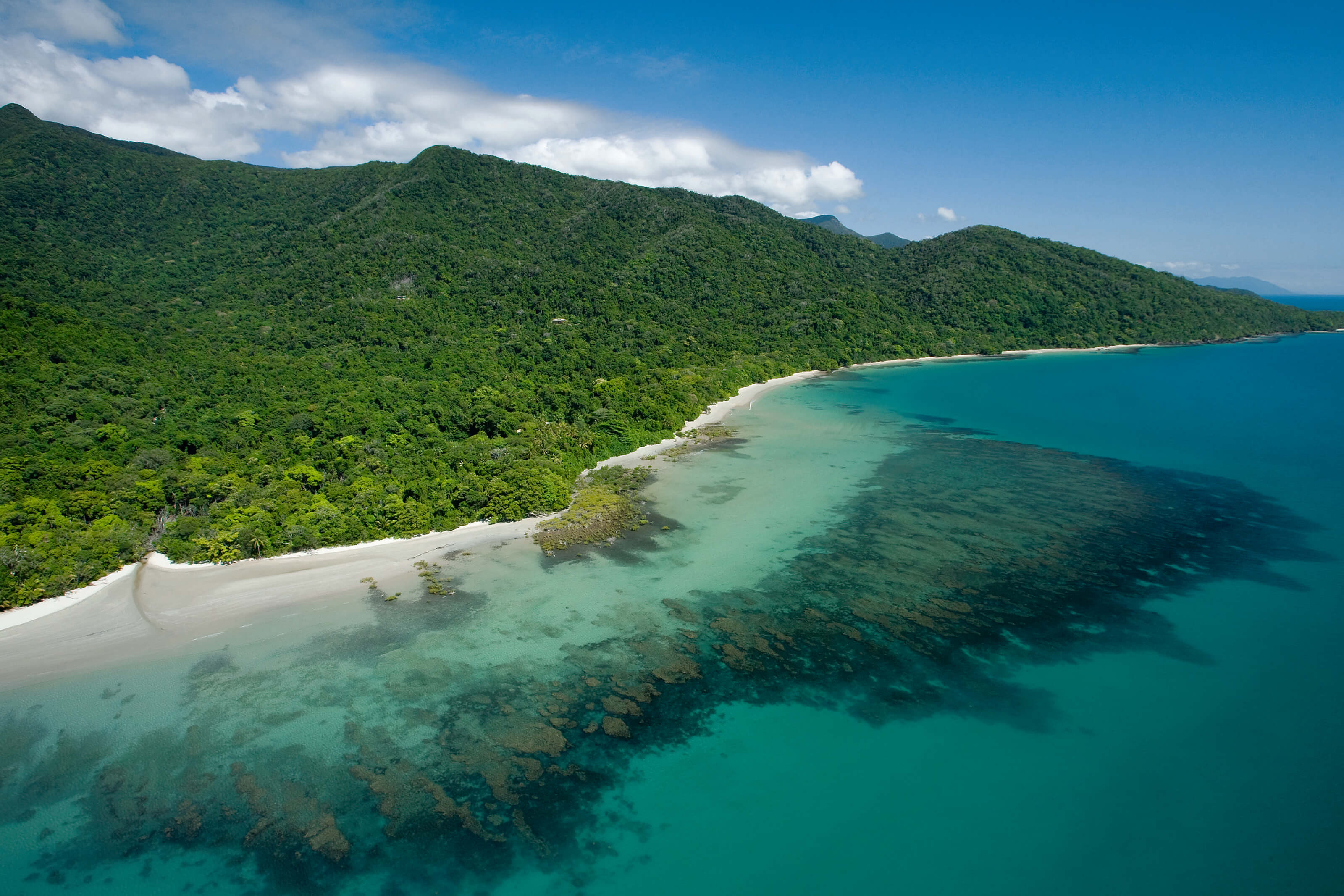 Daintree National Park, Cape Tribulation, Tour ideas, Cairns, 3200x2140 HD Desktop