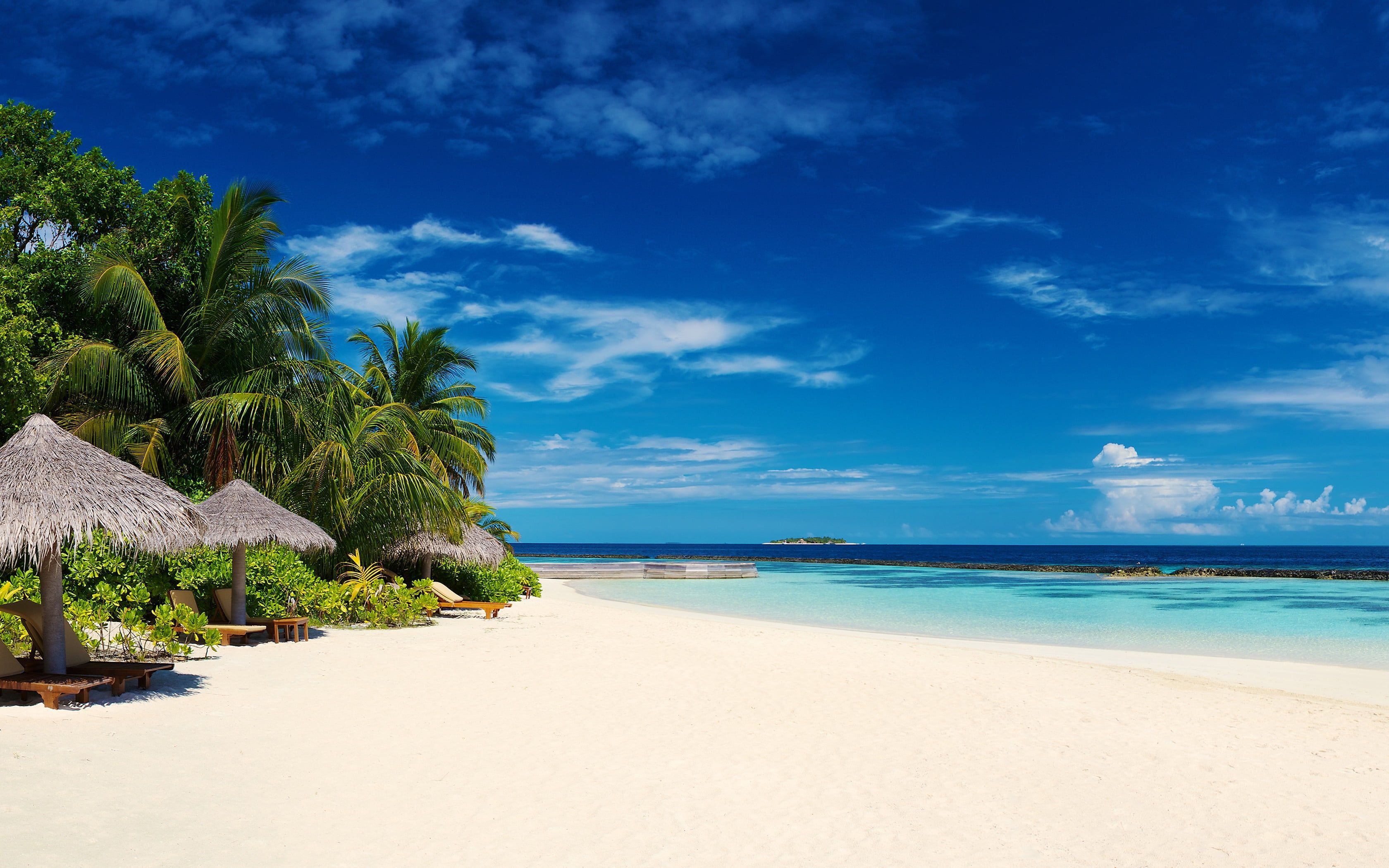 Coconut palm trees, Thatched palapa umbrellas, Turquoise ocean lagoon, HD Desktop wallpaper