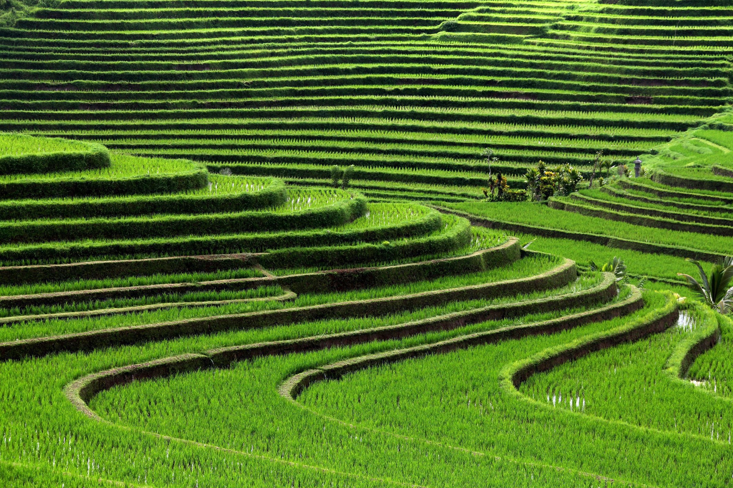 Bali Travels, Picturesque beaches, Balinese culture, Tropical paradise, 2400x1600 HD Desktop