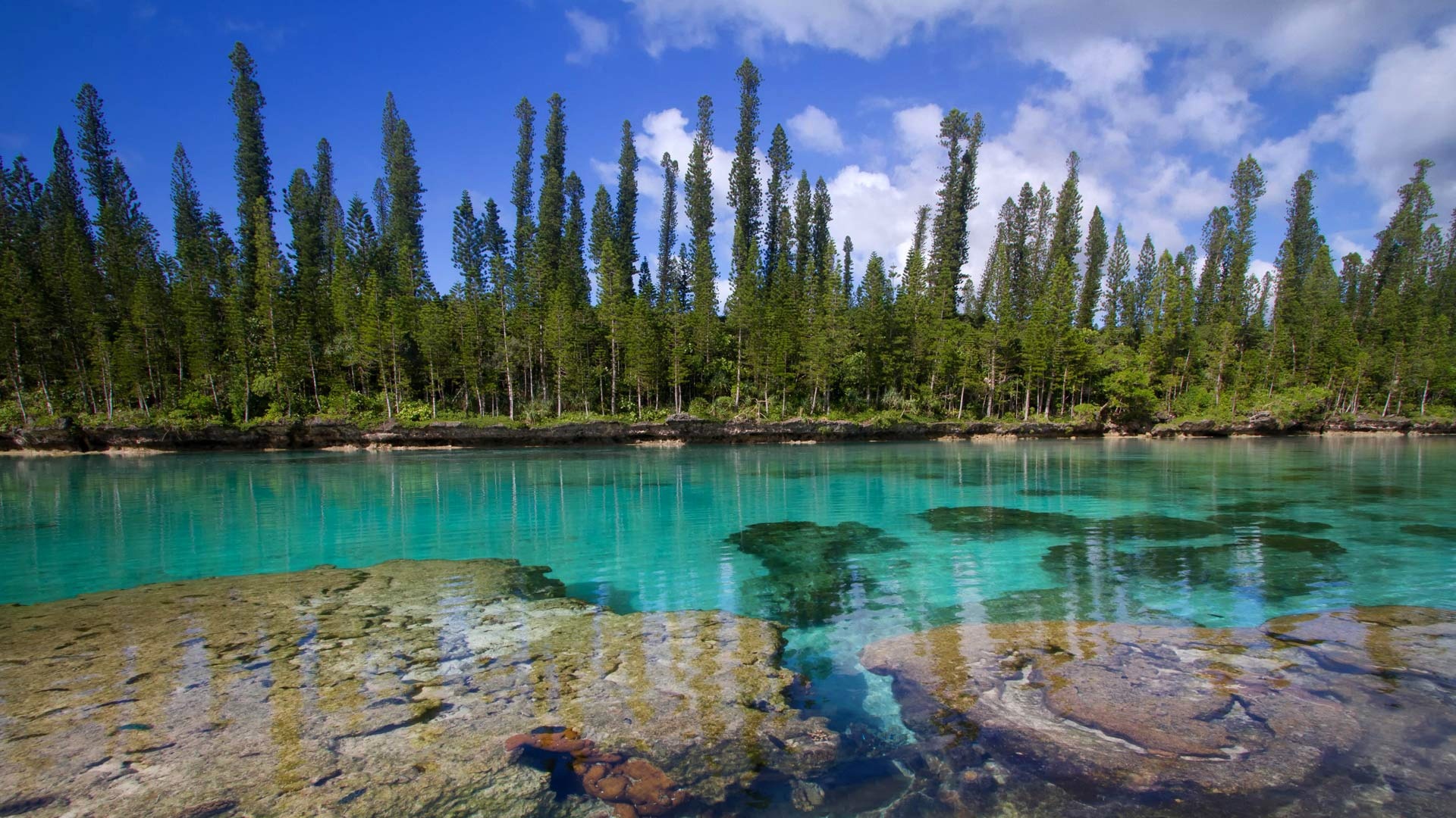 New Caledonia, Isle of Pines, Backiee, 1920x1080 Full HD Desktop