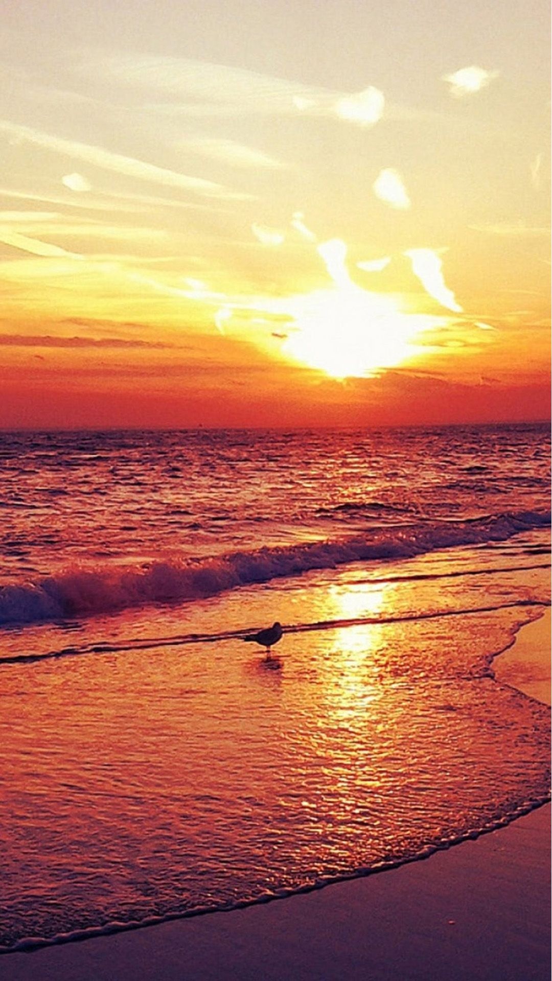Solitary seagull at waterline, Golden ocean sunset, Sunlight reflection on surf, Full HD Phone wallpaper