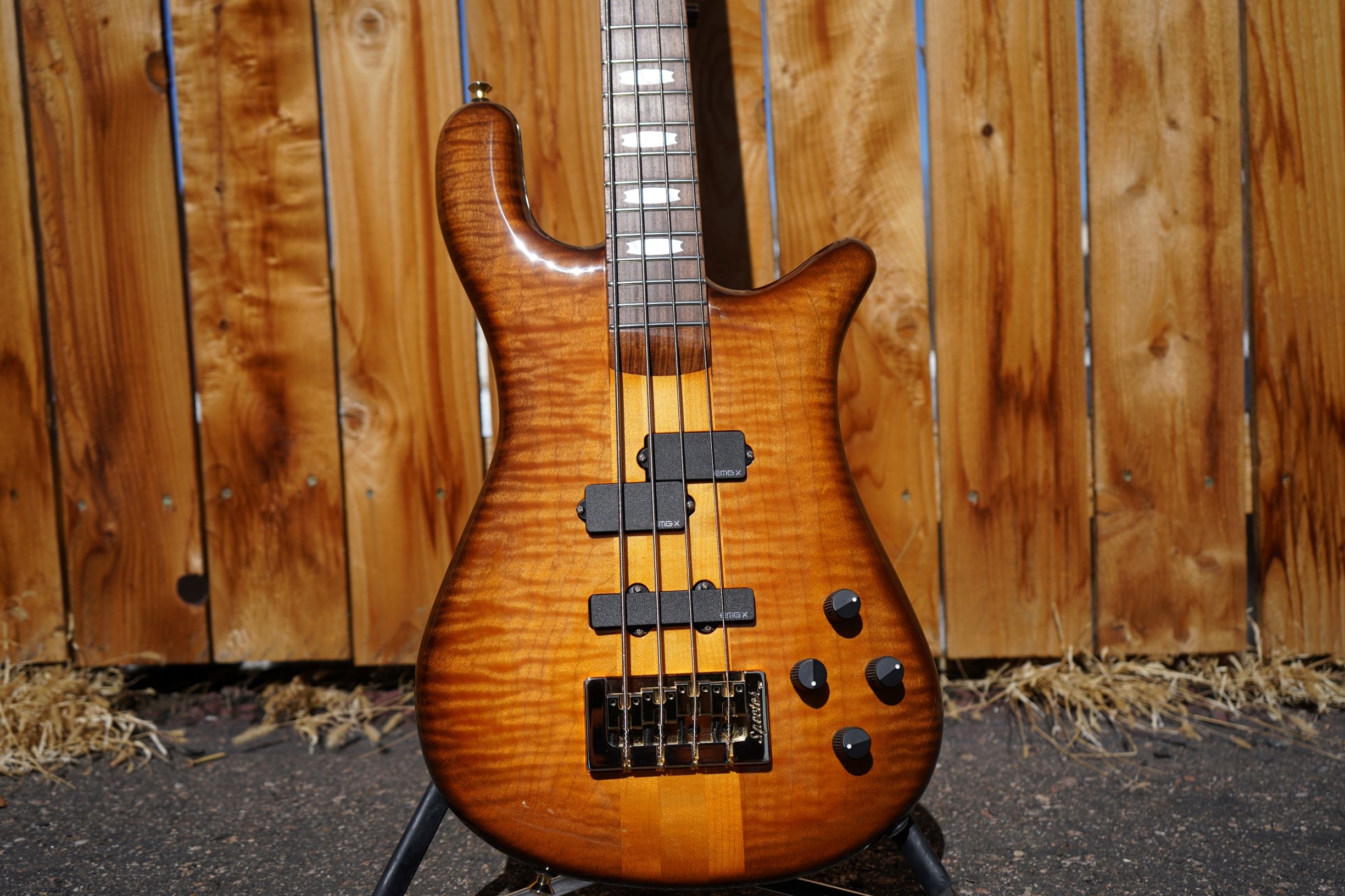 Spector USA NS-2, String Bass Guitar Wallpaper, 2450x1640 HD Desktop