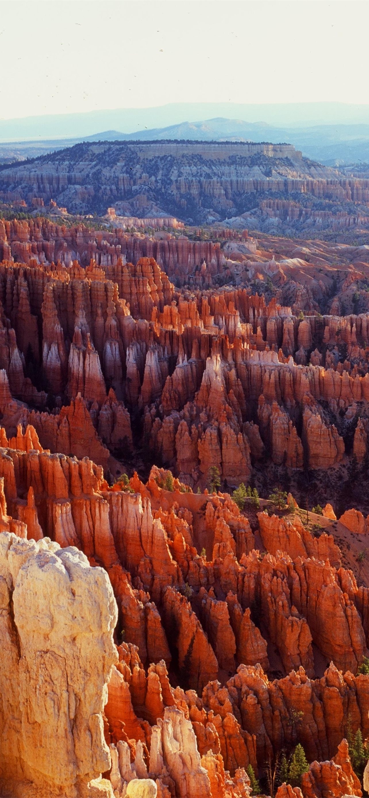 Bryce Canyon National Park, Best iPhone wallpapers, High definition, Home screen, 1290x2780 HD Phone