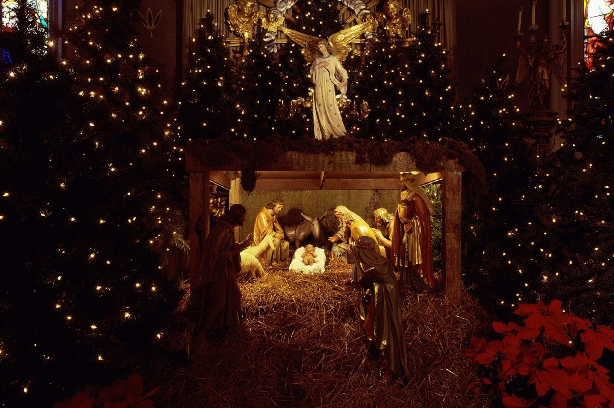 Christmas Jesus nurseries, Holiday trees garland, People enjoying, Festive atmosphere, 2560x1700 HD Desktop