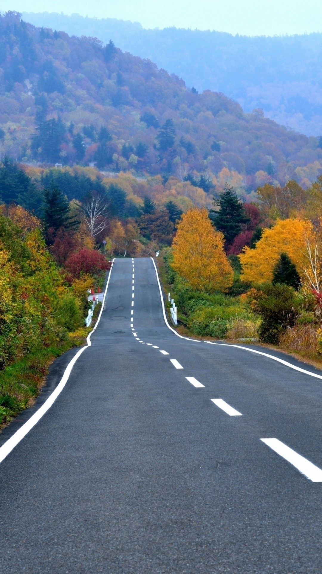 undulating asphalt mountain road, colorful autumn foliage trees, misty forested mountain ridge, Full HD Phone wallpaper