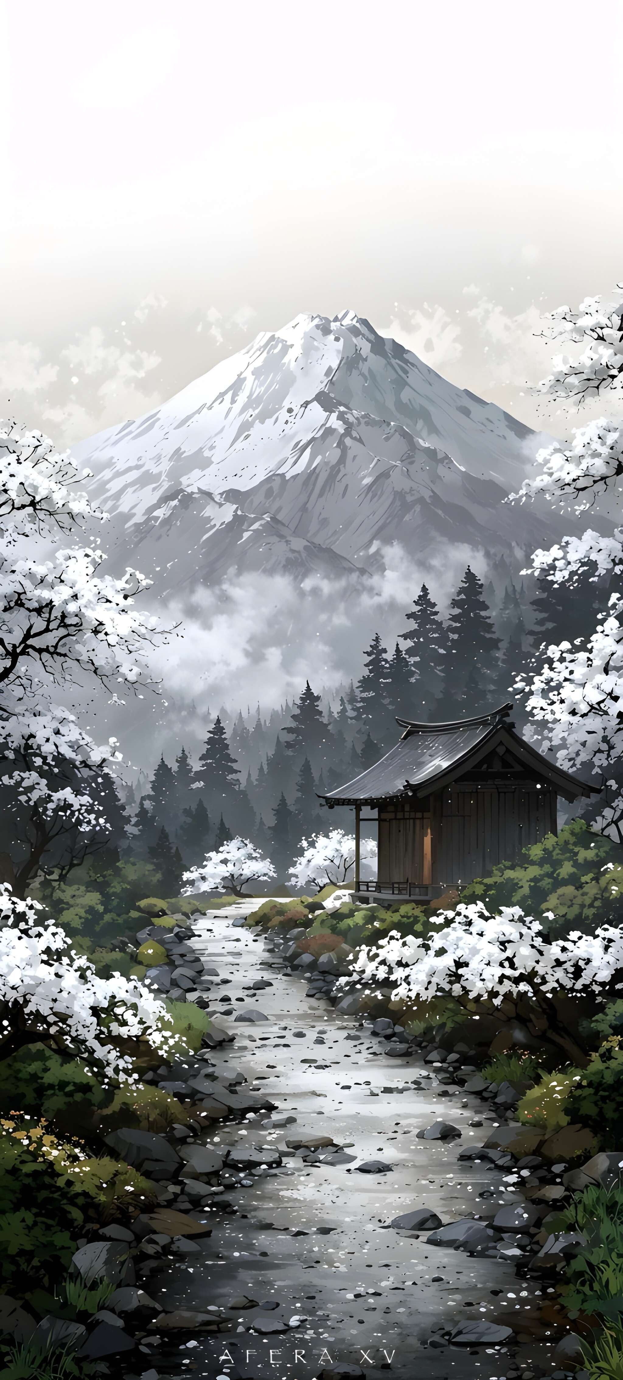 2050x4540 Phone Wallpaper