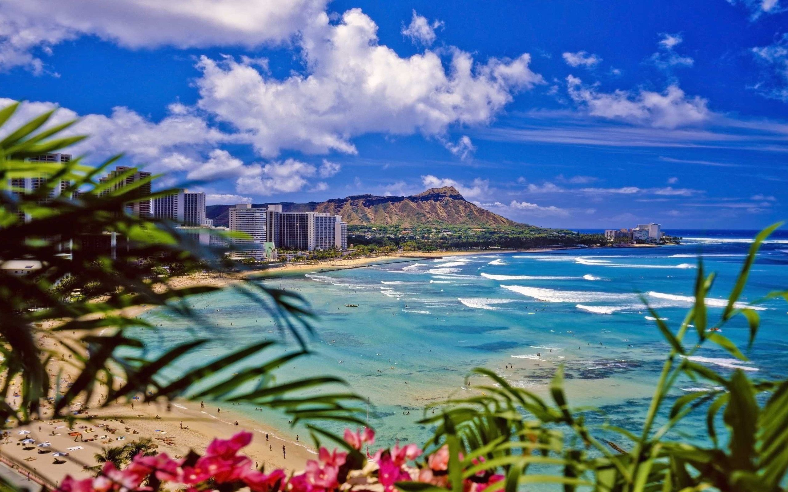 Oahu Hawaii wallpapers, Beautiful beaches, Vibrant nightlife, Exotic culture, 2560x1600 HD Desktop