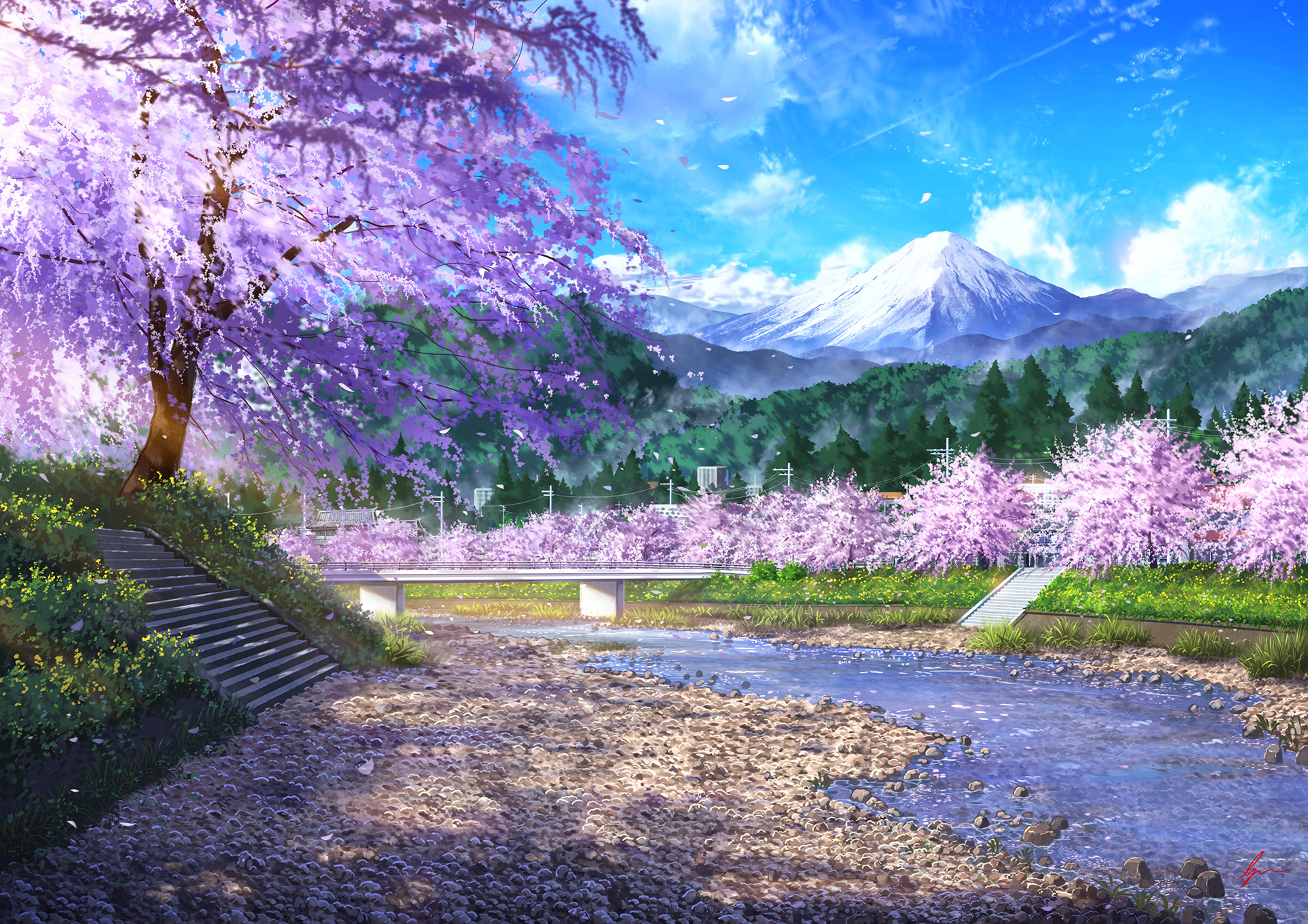 Mount Fuji, Blooming cherry blossom trees, Shallow pebbled riverbed, HD Desktop wallpaper