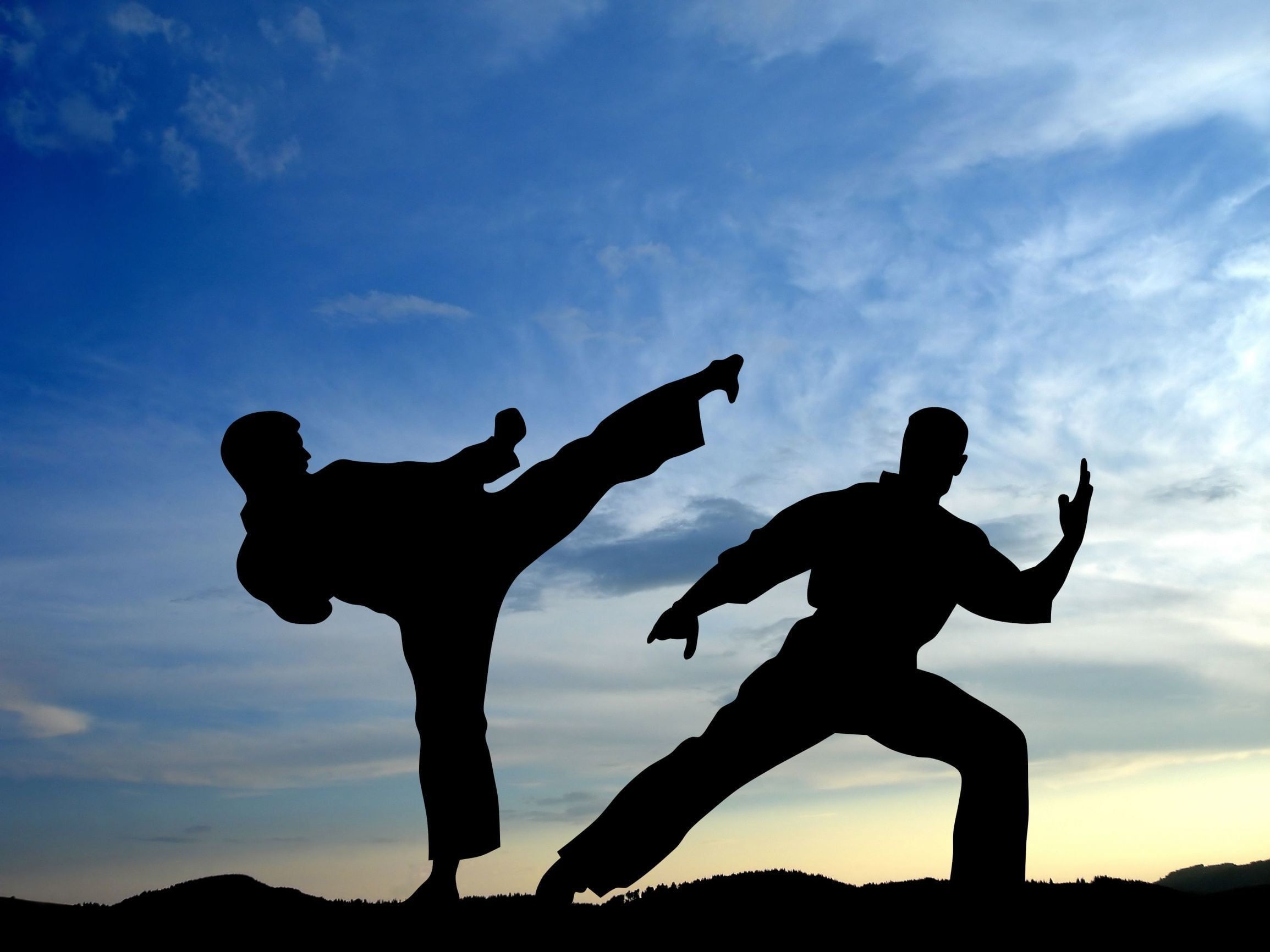 Karate sky sport, Battle wallpaper, Martial arts silhouette, Qigong exercises, 2310x1740 HD Desktop