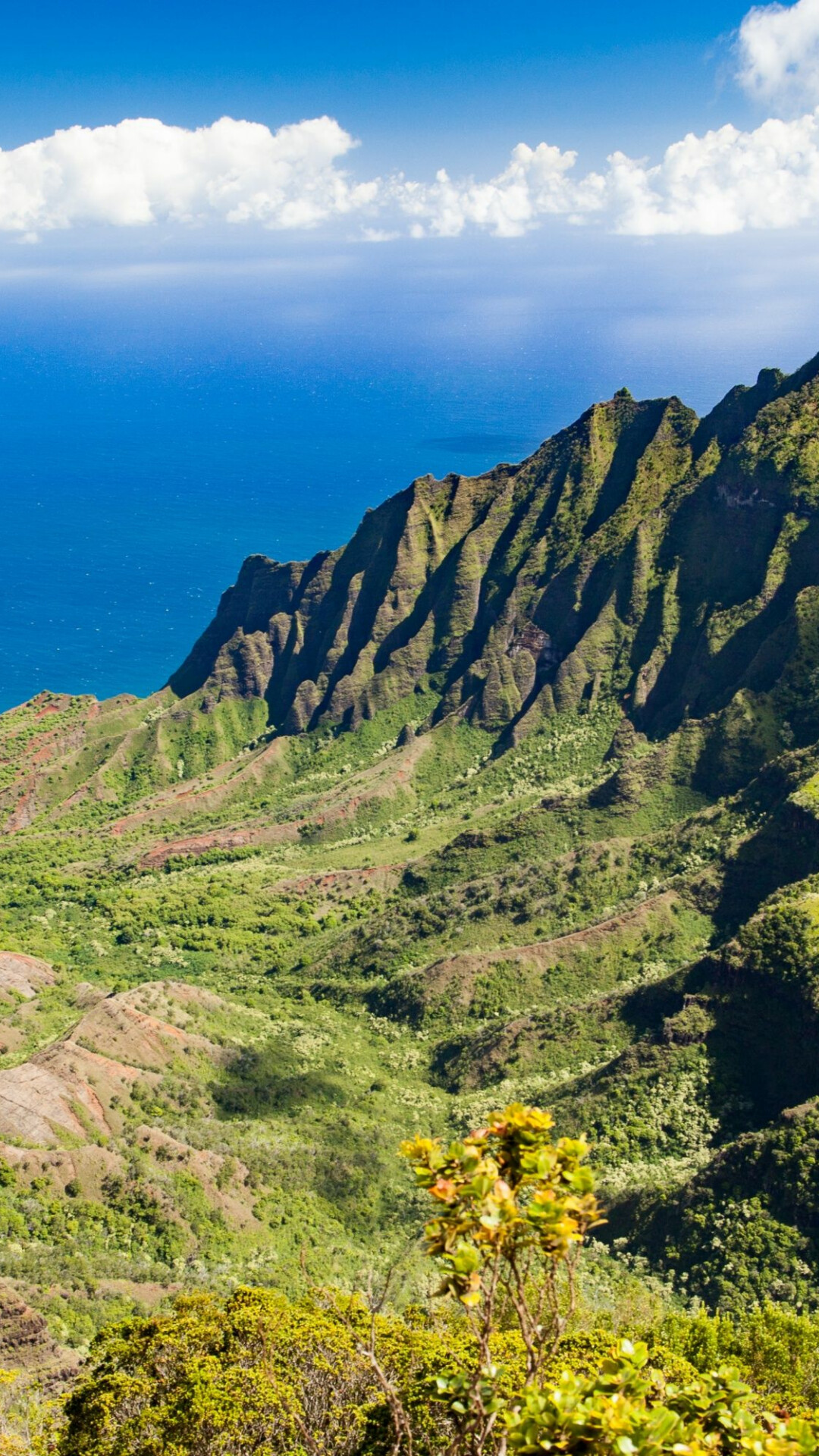 Aerial view, Majestic beauty, Kauai paradise, Nature's wonders, 1080x1920 Full HD Phone