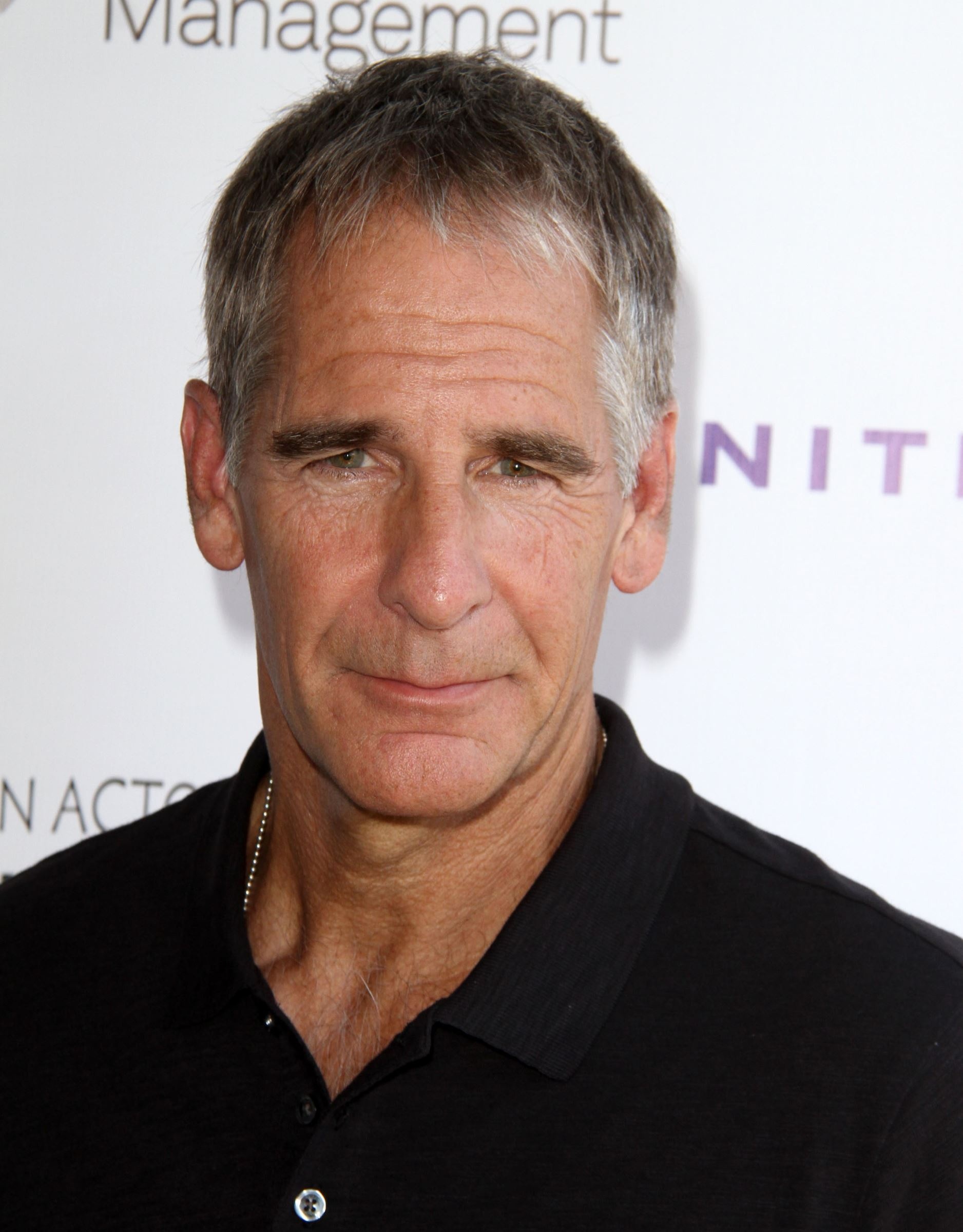 Scott Bakula, TV shows, NCIS Nouvelle Orleans, Femme de Scott, 1880x2400 HD Phone