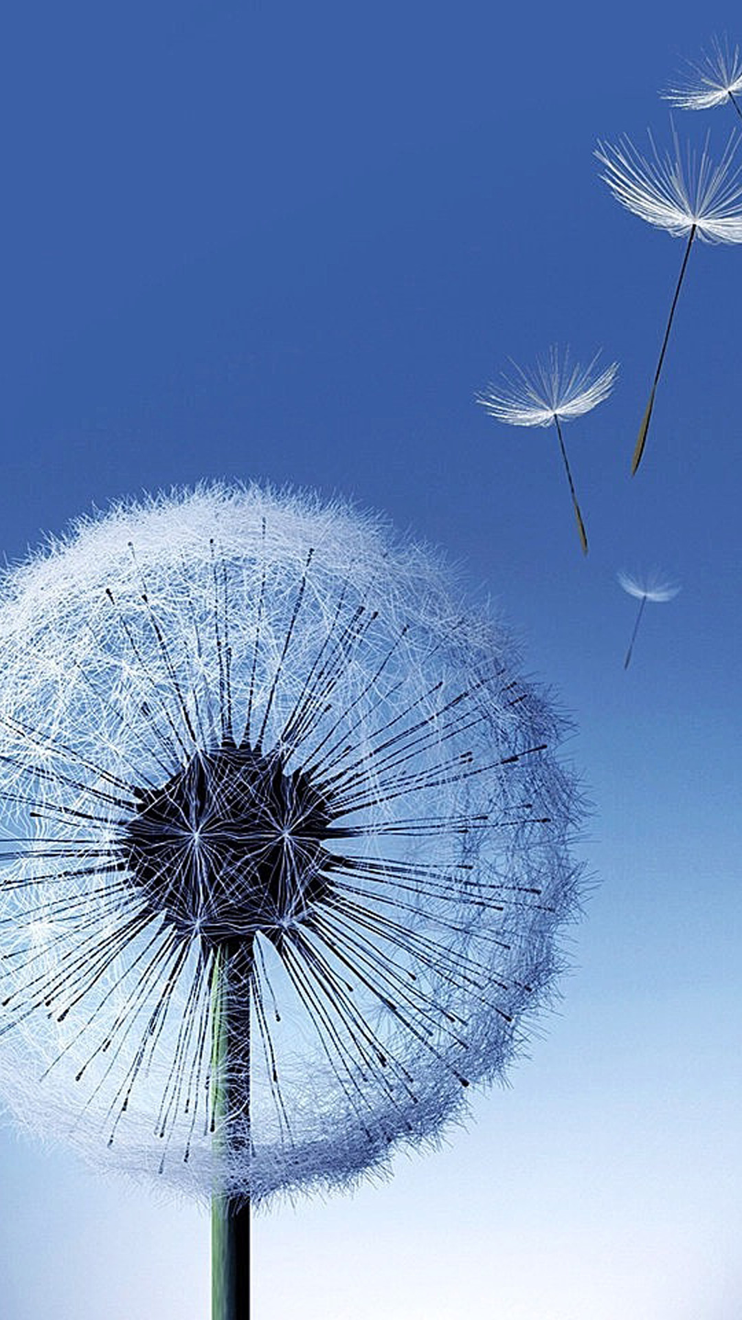 Blowing dandelion seeds, Nature's wishes, Whirling dreams, Serene fragility, 1080x1920 Full HD Phone