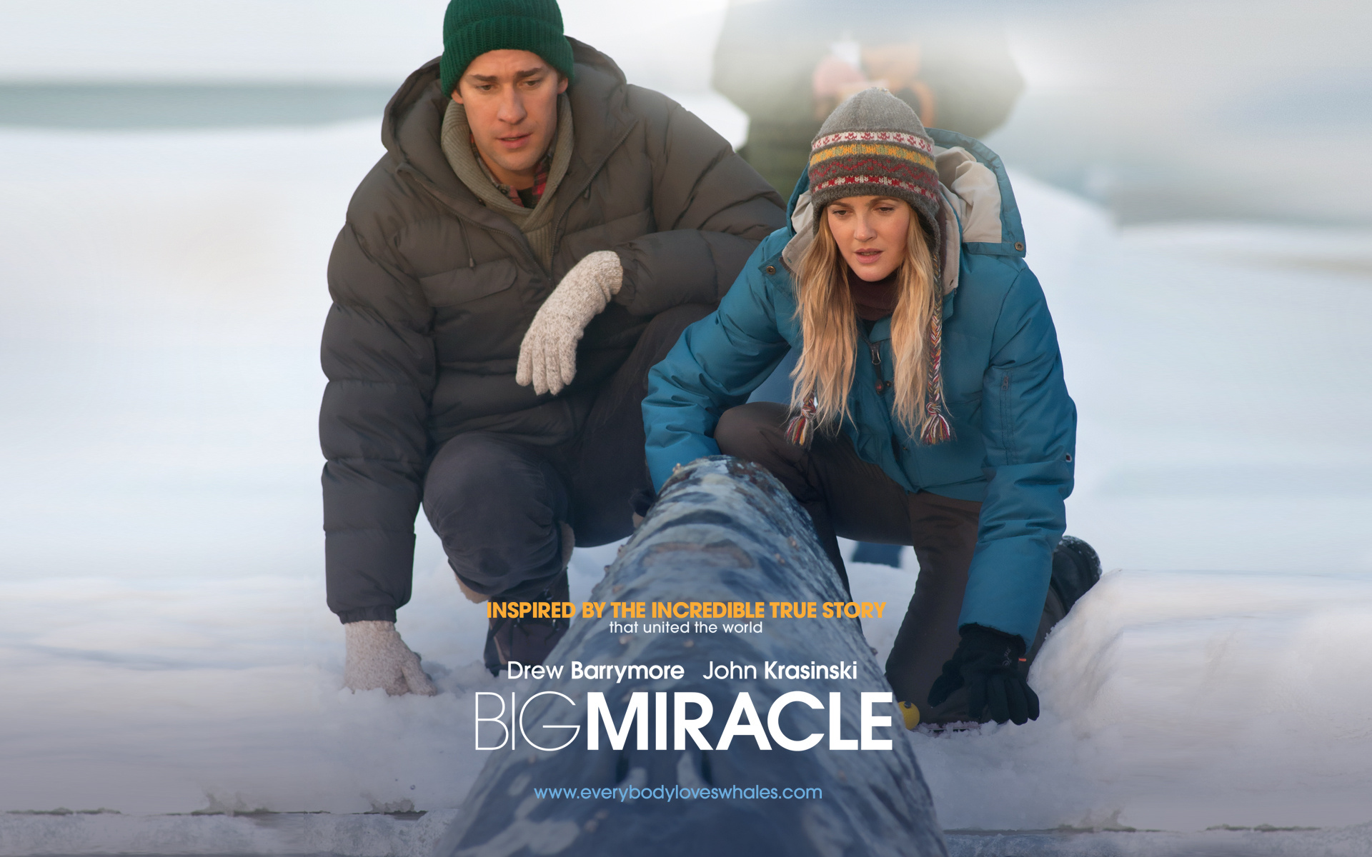 Big Miracle HD wallpaper, Beautiful imagery, Visual splendor, Memorable backdrop, 1920x1200 HD Desktop