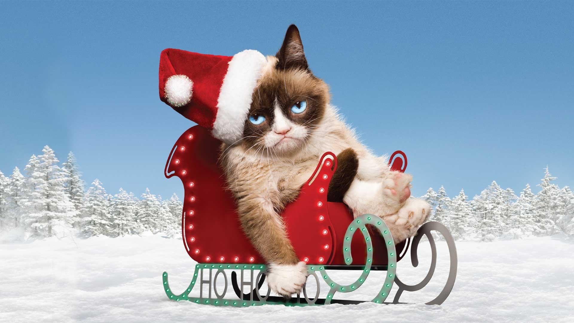 Christmas, Grumpy Cat Wallpaper, 1920x1080 Full HD Desktop