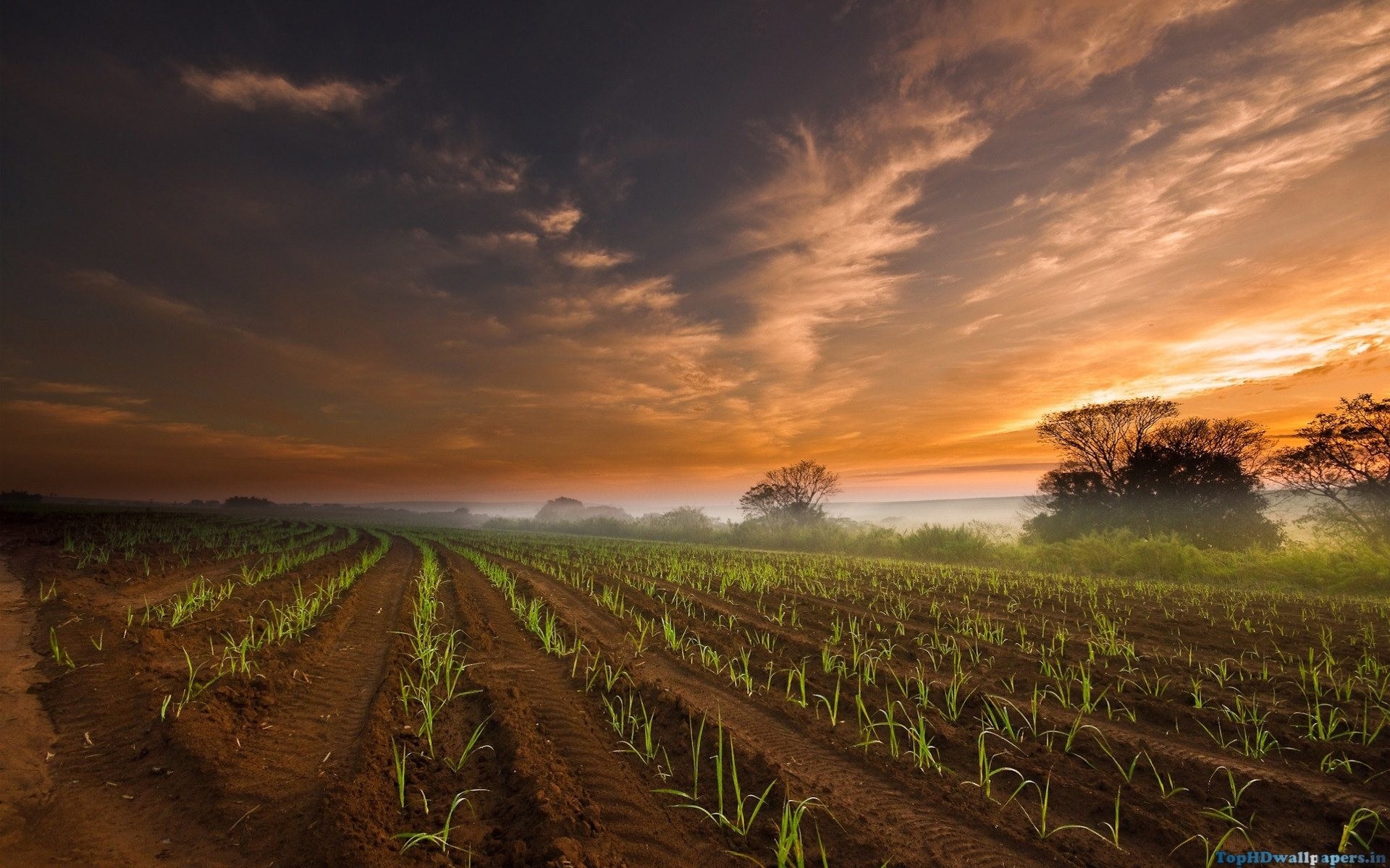 Farming wallpaper, Agriculture beauty, Countryside scenery, Rural life, 1920x1200 HD Desktop