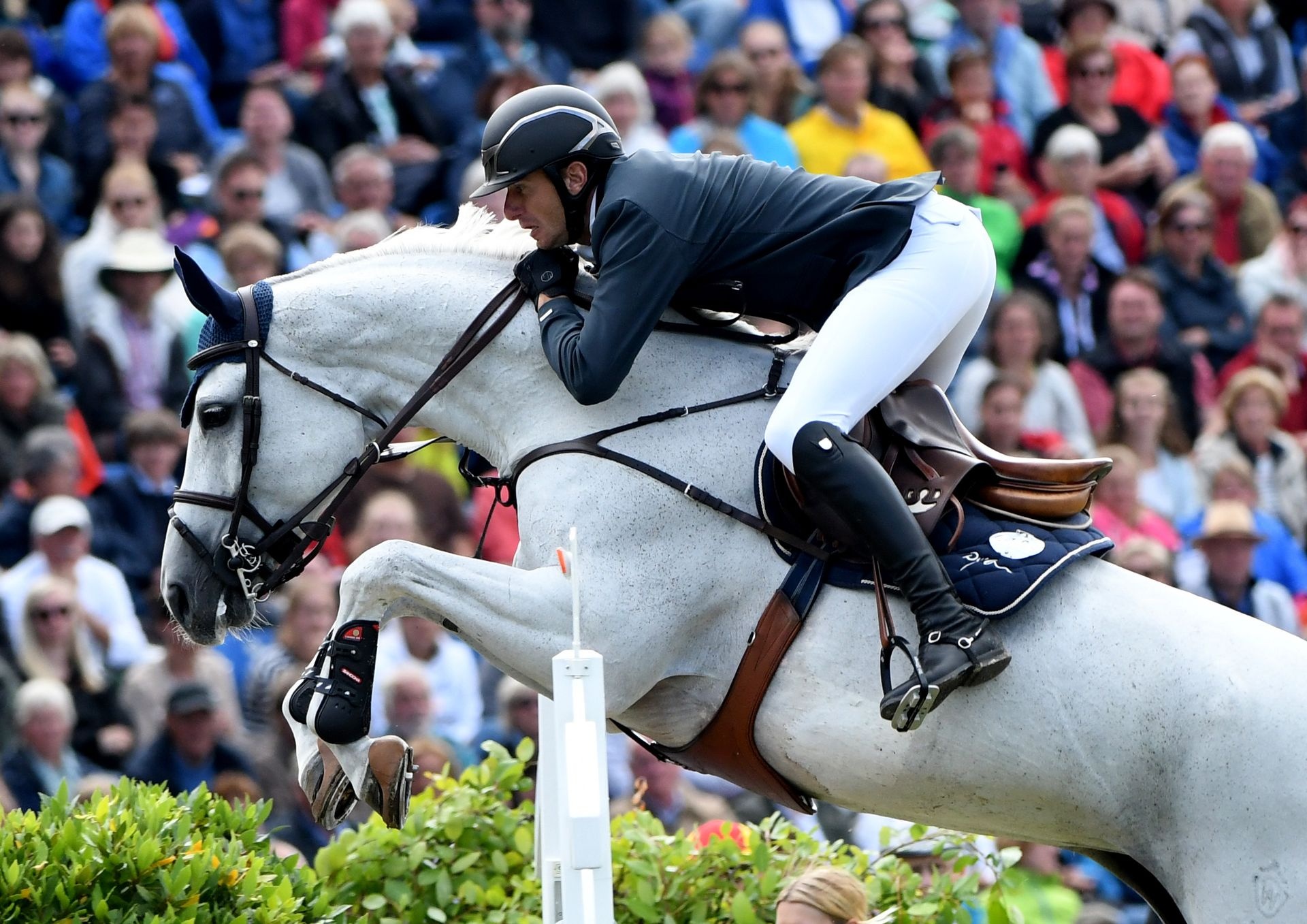 Gregory Wathelet, Equitation Wallpaper, 1920x1360 HD Desktop