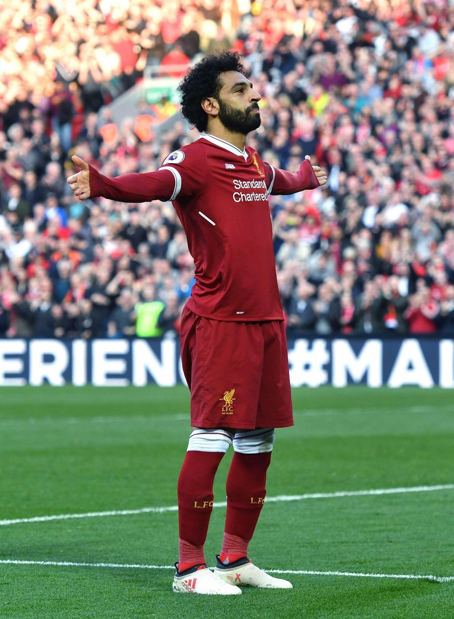 Mohamed Salah, Harry Kane, James Milner, Liverpool, 1500x2040 HD Phone