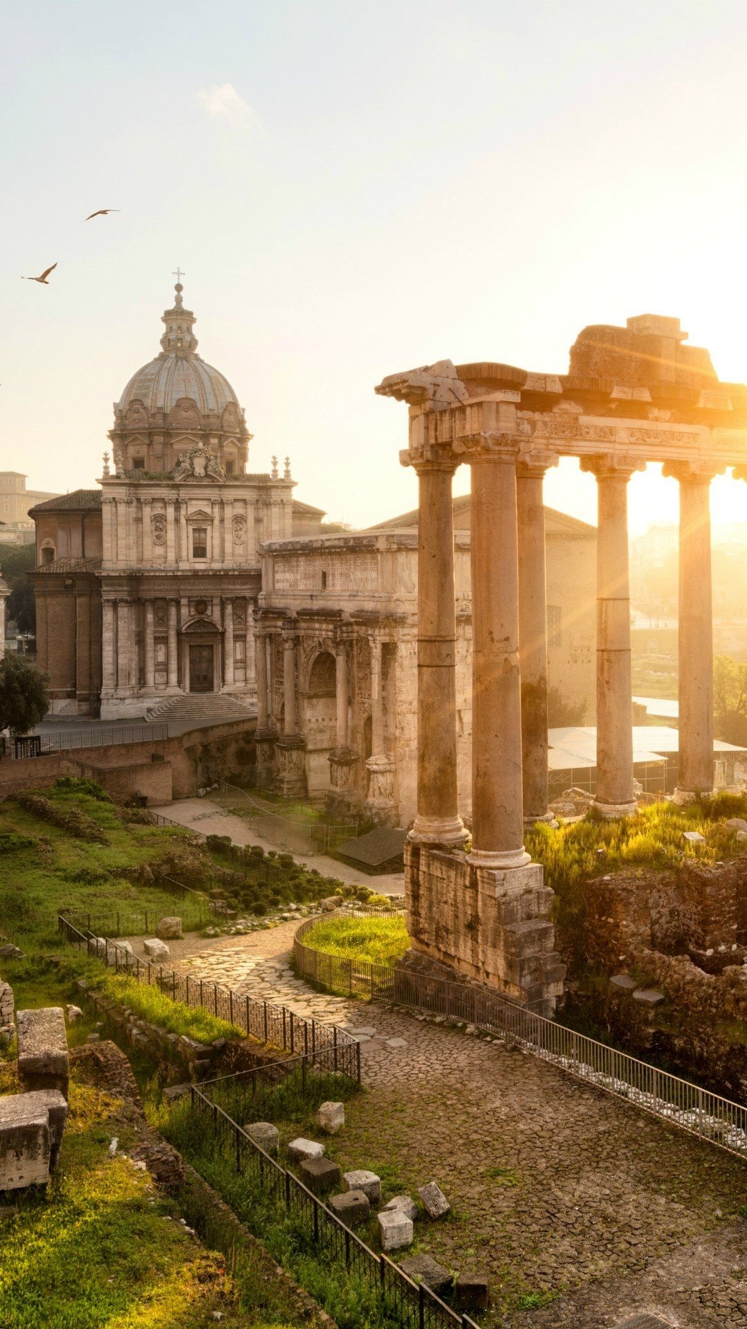 Forum Romanum, Roman attractions, European aesthetic, Italy's beauty, 1080x1920 Full HD Phone