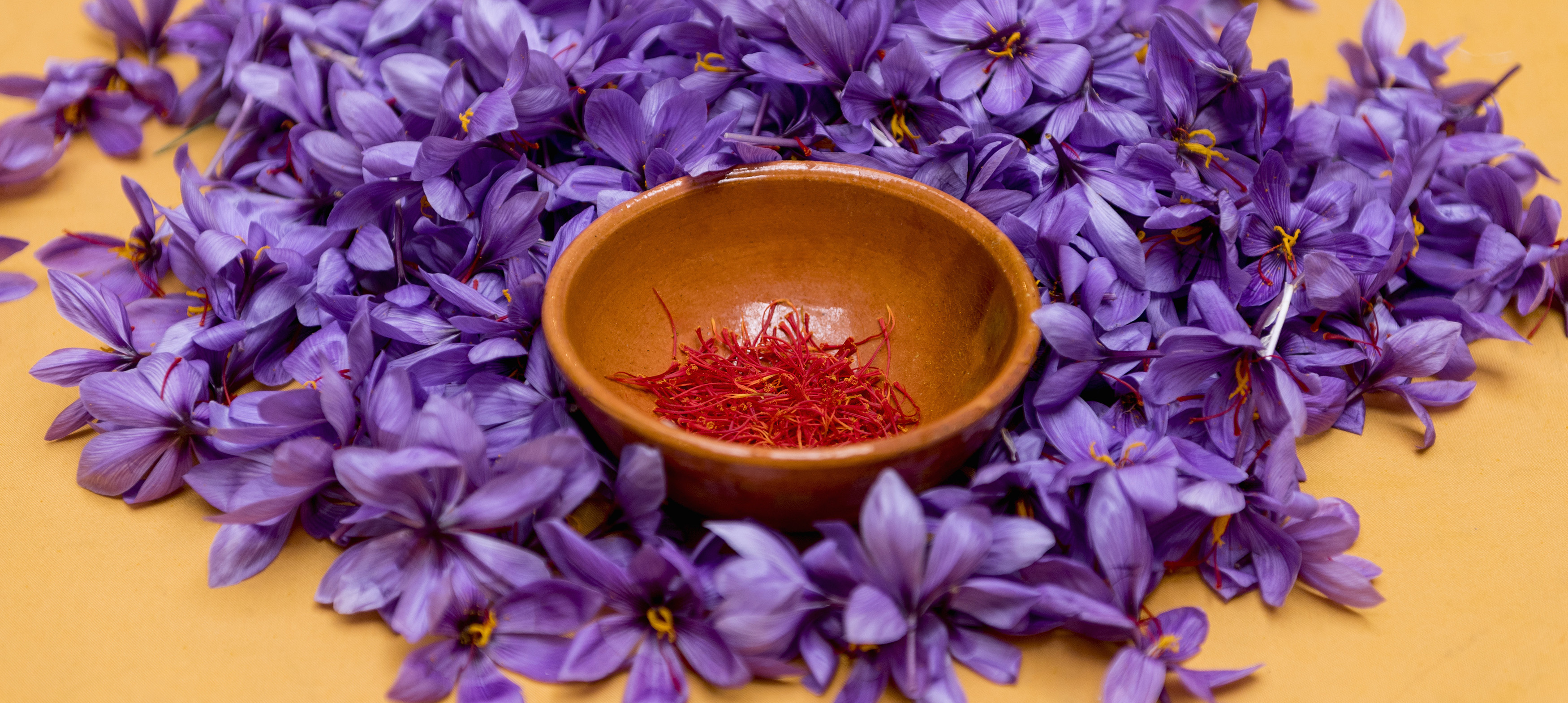 Bowl, Saffron Wallpaper, 3500x1580 Dual Screen Desktop