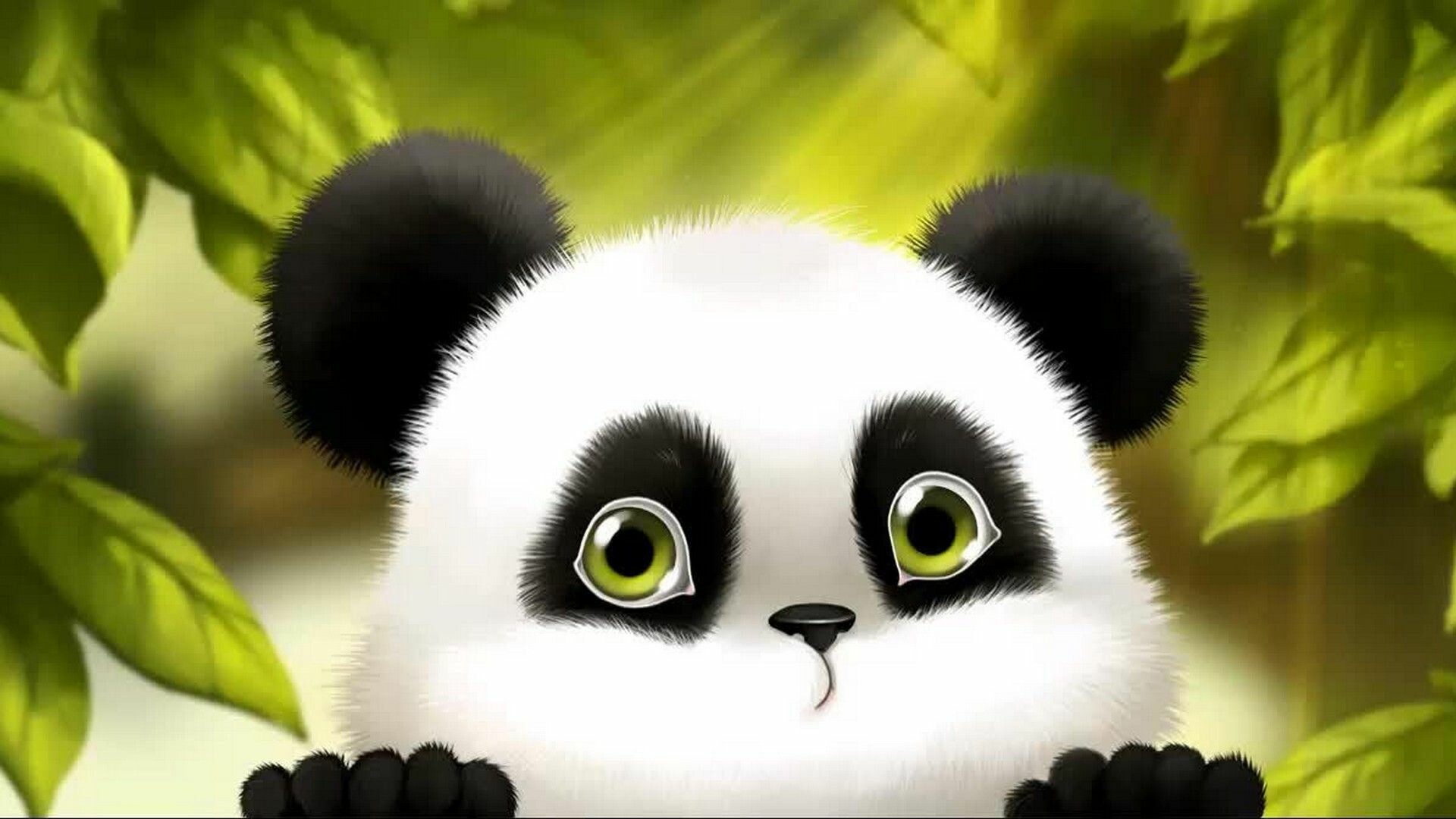 HD pandas, High-quality images, Stunning backgrounds, Visual delight, 1920x1080 Full HD Desktop