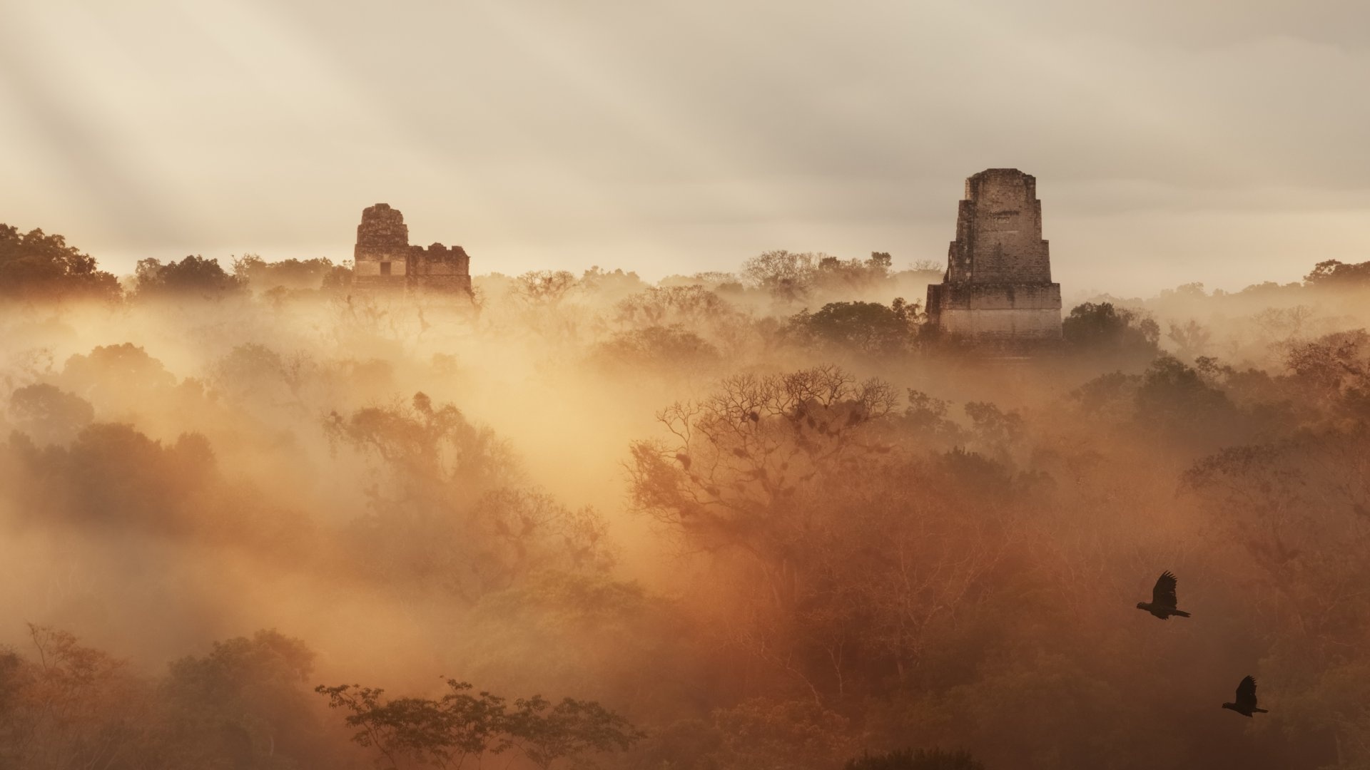 Maya site, Tikal in Guatemala, Historical significance, Ancient civilization, 1920x1080 Full HD Desktop