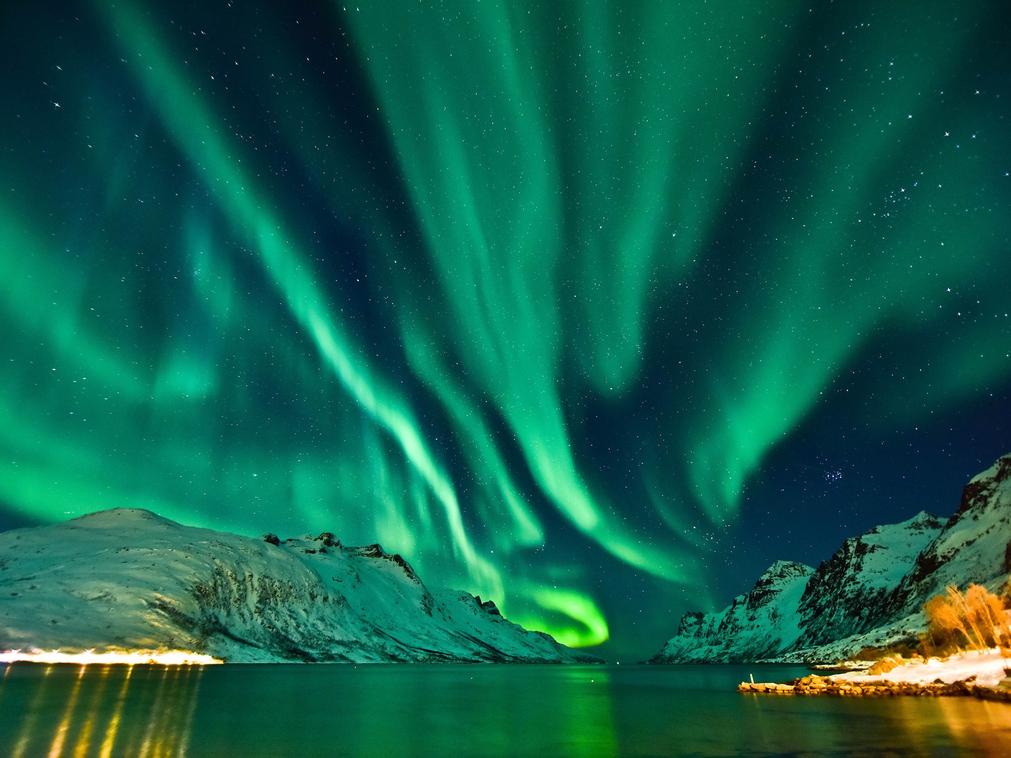 Green Aurora Borealis, Snow-covered Arctic mountains, Reflective fjord water, HD Desktop wallpaper