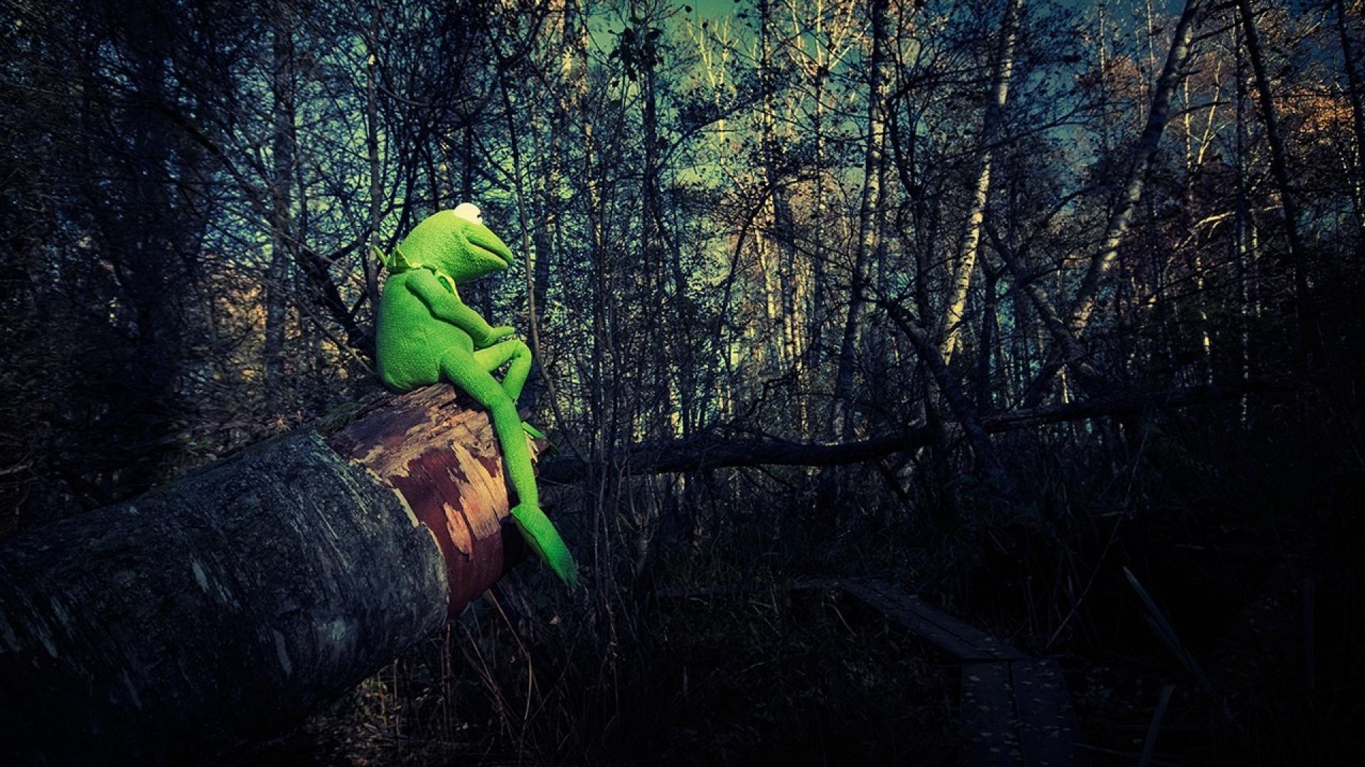 Kermit the Frog, Top wallpapers, Frog backgrounds, 1920x1080 Full HD Desktop